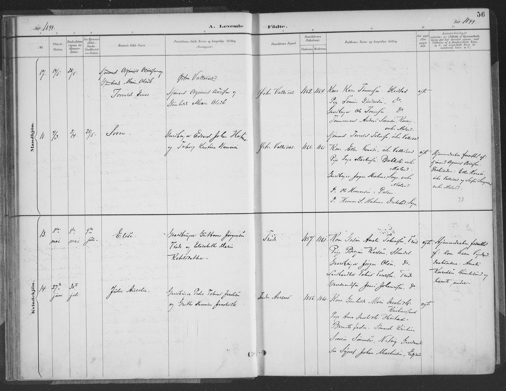 Høvåg sokneprestkontor, AV/SAK-1111-0025/F/Fa/L0006: Parish register (official) no. A 6, 1894-1923, p. 56