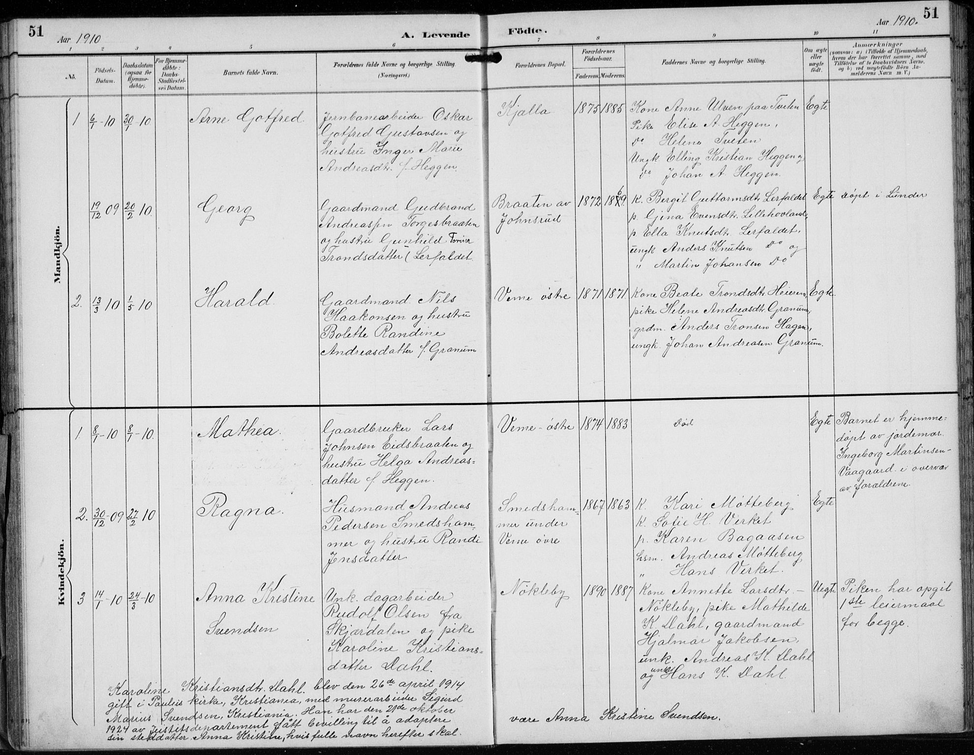 Lunder kirkebøker, AV/SAKO-A-629/F/Fb/L0001: Parish register (official) no. II 1, 1893-1916, p. 51