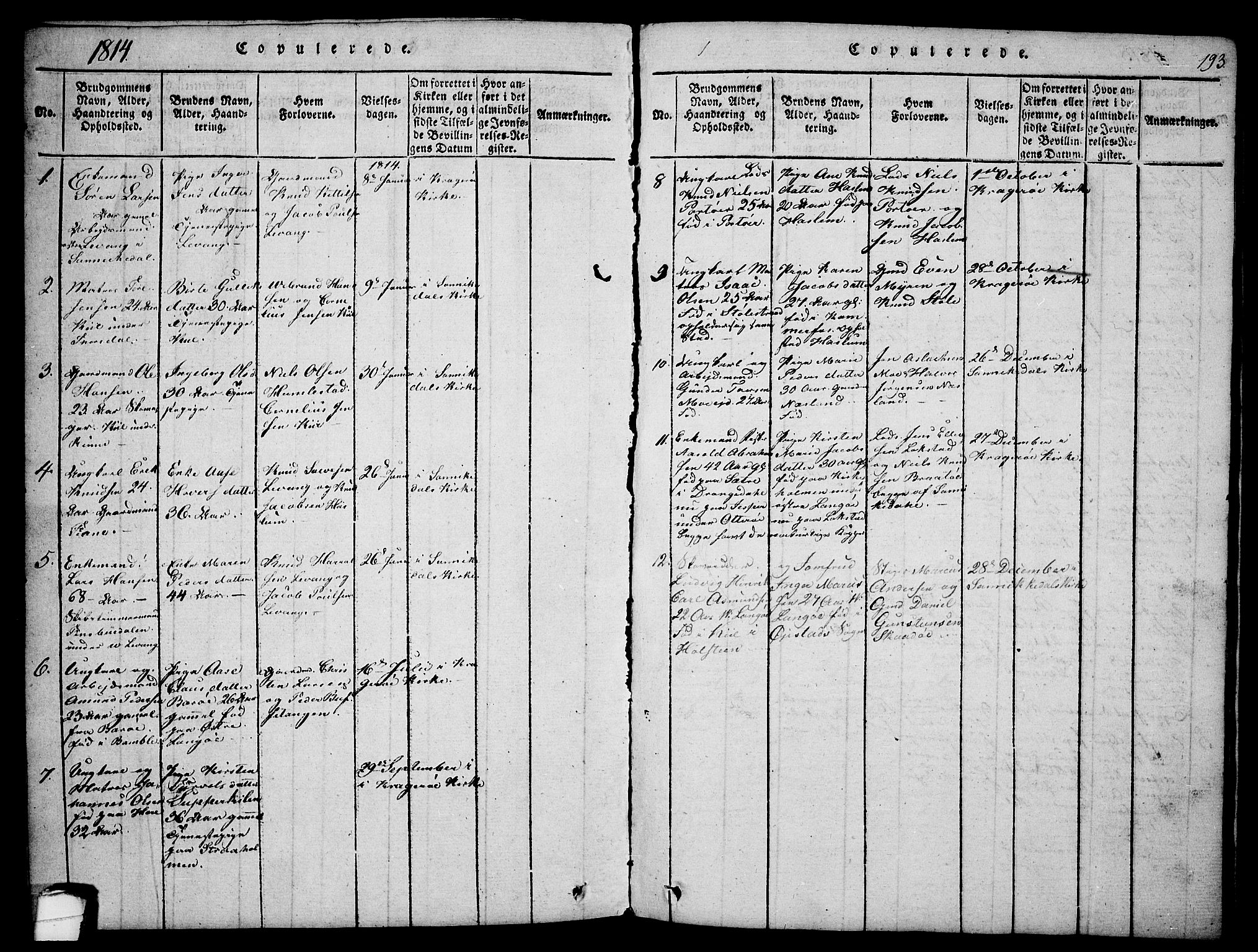Sannidal kirkebøker, SAKO/A-296/F/Fa/L0004: Parish register (official) no. 4, 1814-1829, p. 193