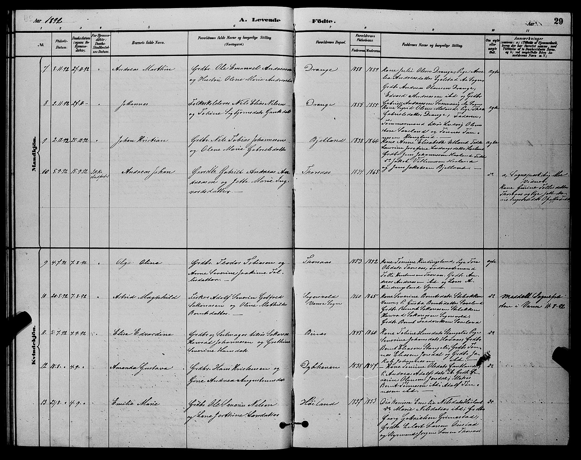 Herad sokneprestkontor, AV/SAK-1111-0018/F/Fb/Fba/L0004: Parish register (copy) no. B 4, 1882-1899, p. 29