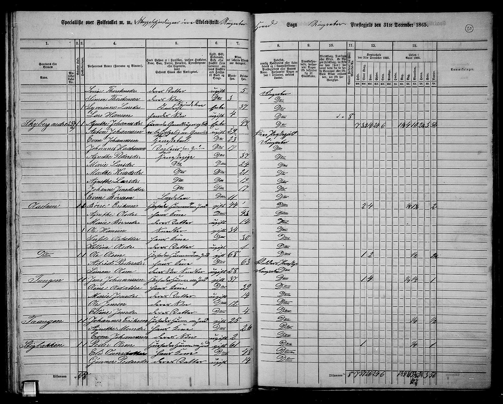 RA, 1865 census for Ringsaker, 1865, p. 287