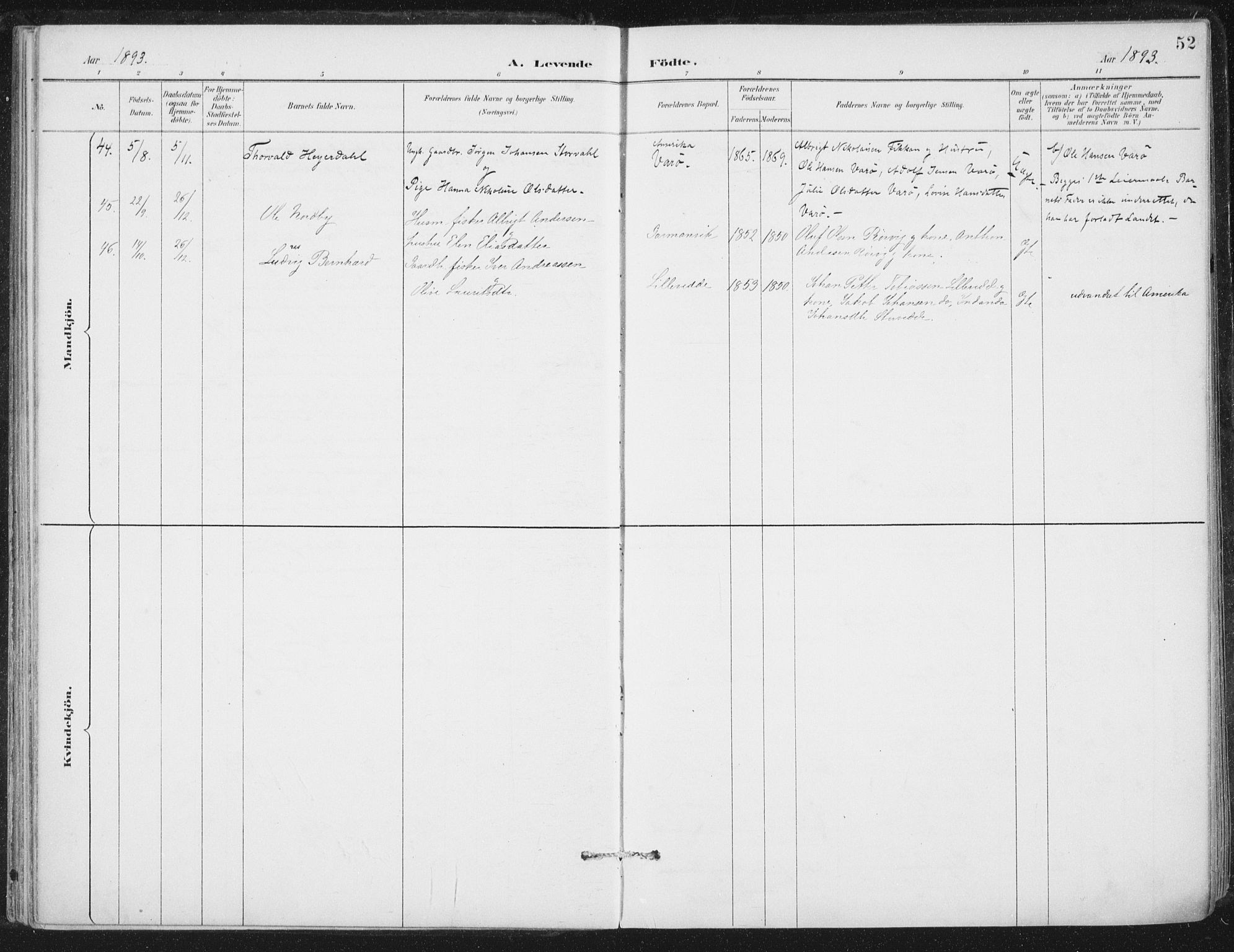 Ministerialprotokoller, klokkerbøker og fødselsregistre - Nord-Trøndelag, SAT/A-1458/784/L0673: Parish register (official) no. 784A08, 1888-1899, p. 52