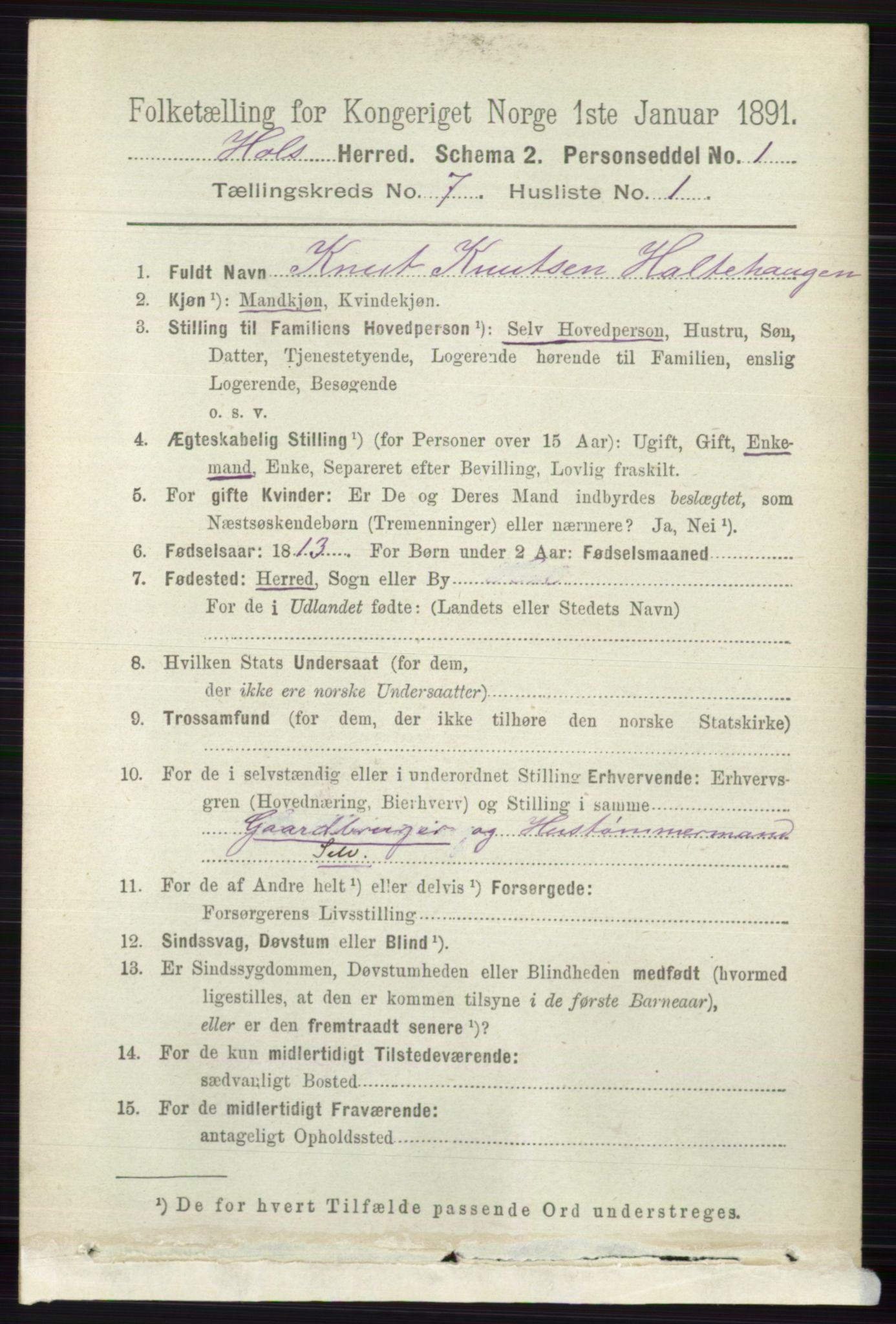 RA, 1891 census for 0620 Hol, 1891, p. 2015