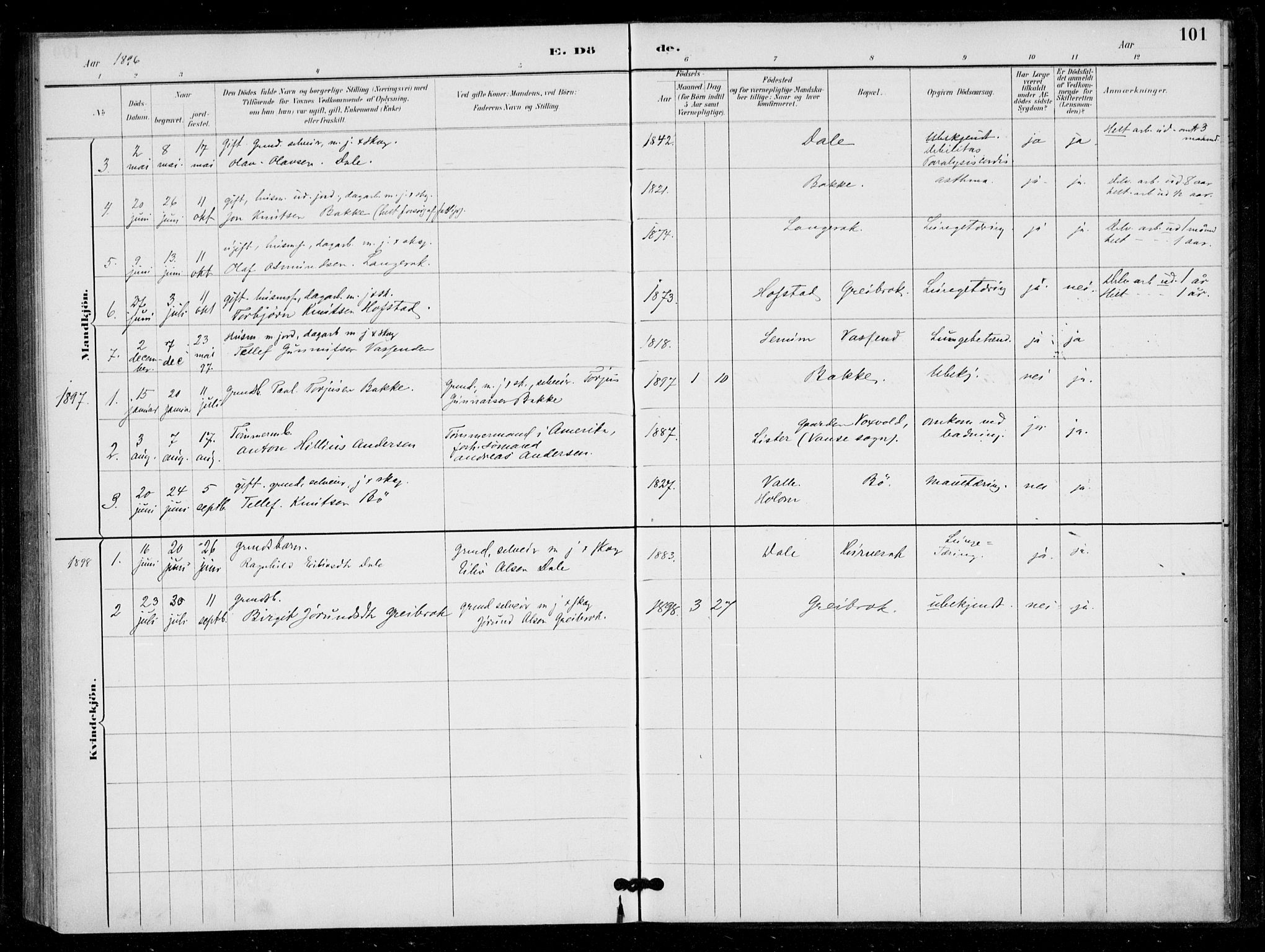 Bygland sokneprestkontor, SAK/1111-0006/F/Fa/Fad/L0001: Parish register (official) no. A 1, 1885-1906, p. 101