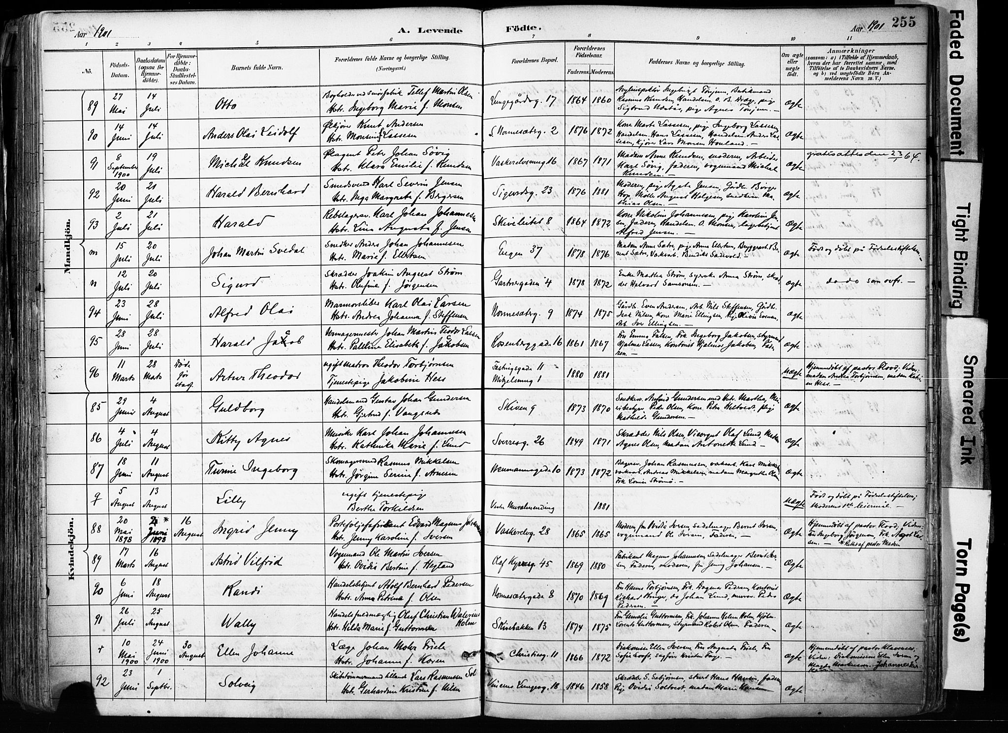 Domkirken sokneprestembete, SAB/A-74801/H/Haa/L0024: Parish register (official) no. B 7, 1888-1903, p. 255