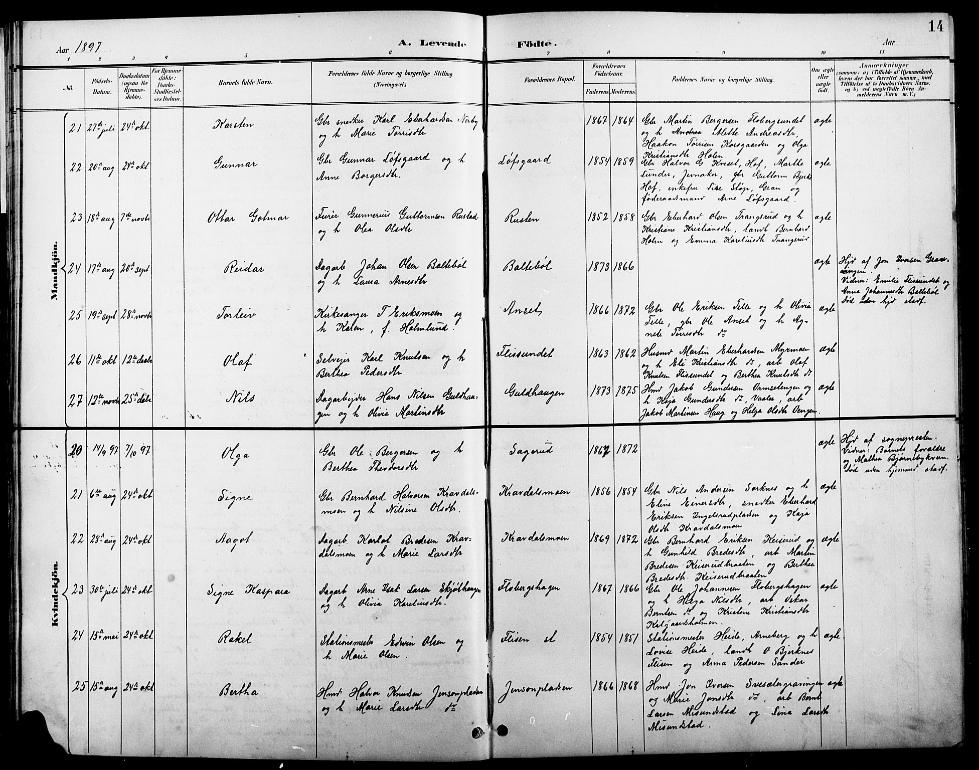 Åsnes prestekontor, SAH/PREST-042/H/Ha/Hab/L0004: Parish register (copy) no. 4, 1895-1909, p. 14