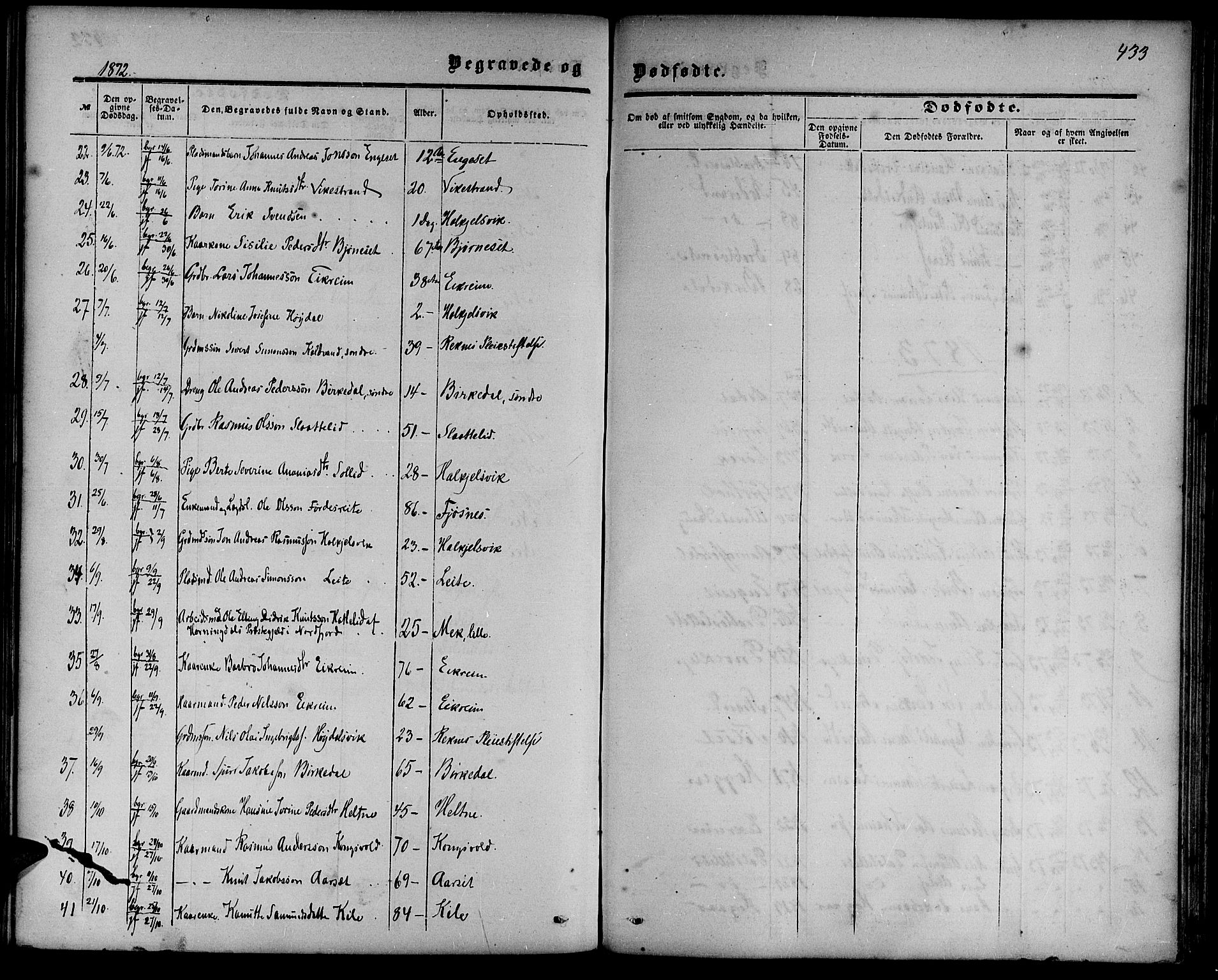 Ministerialprotokoller, klokkerbøker og fødselsregistre - Møre og Romsdal, AV/SAT-A-1454/511/L0157: Parish register (copy) no. 511C03, 1864-1884, p. 433