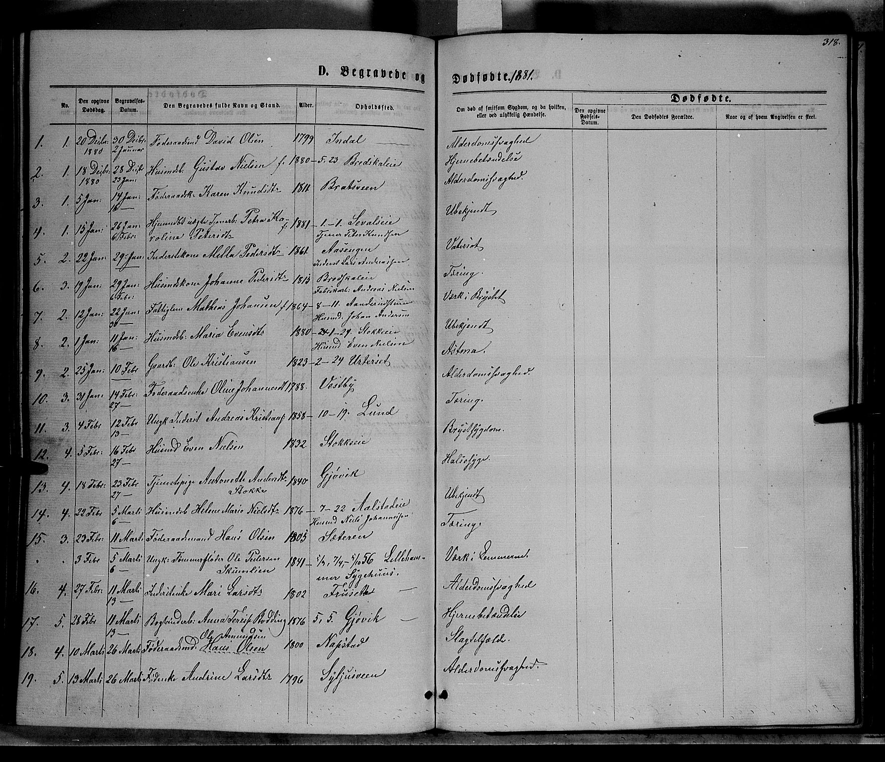 Vardal prestekontor, SAH/PREST-100/H/Ha/Hab/L0006: Parish register (copy) no. 6, 1869-1881, p. 318