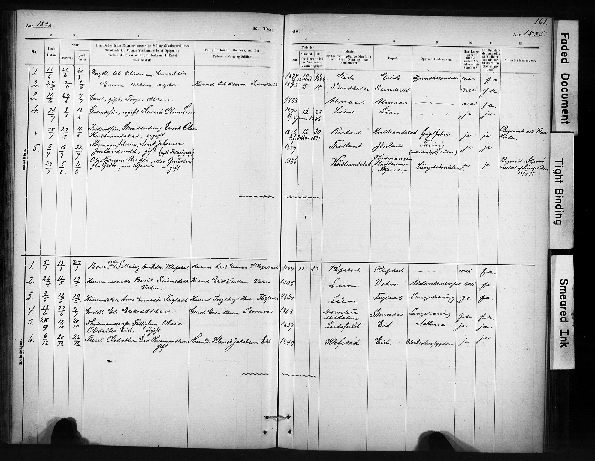 Ministerialprotokoller, klokkerbøker og fødselsregistre - Sør-Trøndelag, SAT/A-1456/694/L1127: Parish register (official) no. 694A01, 1887-1905, p. 161