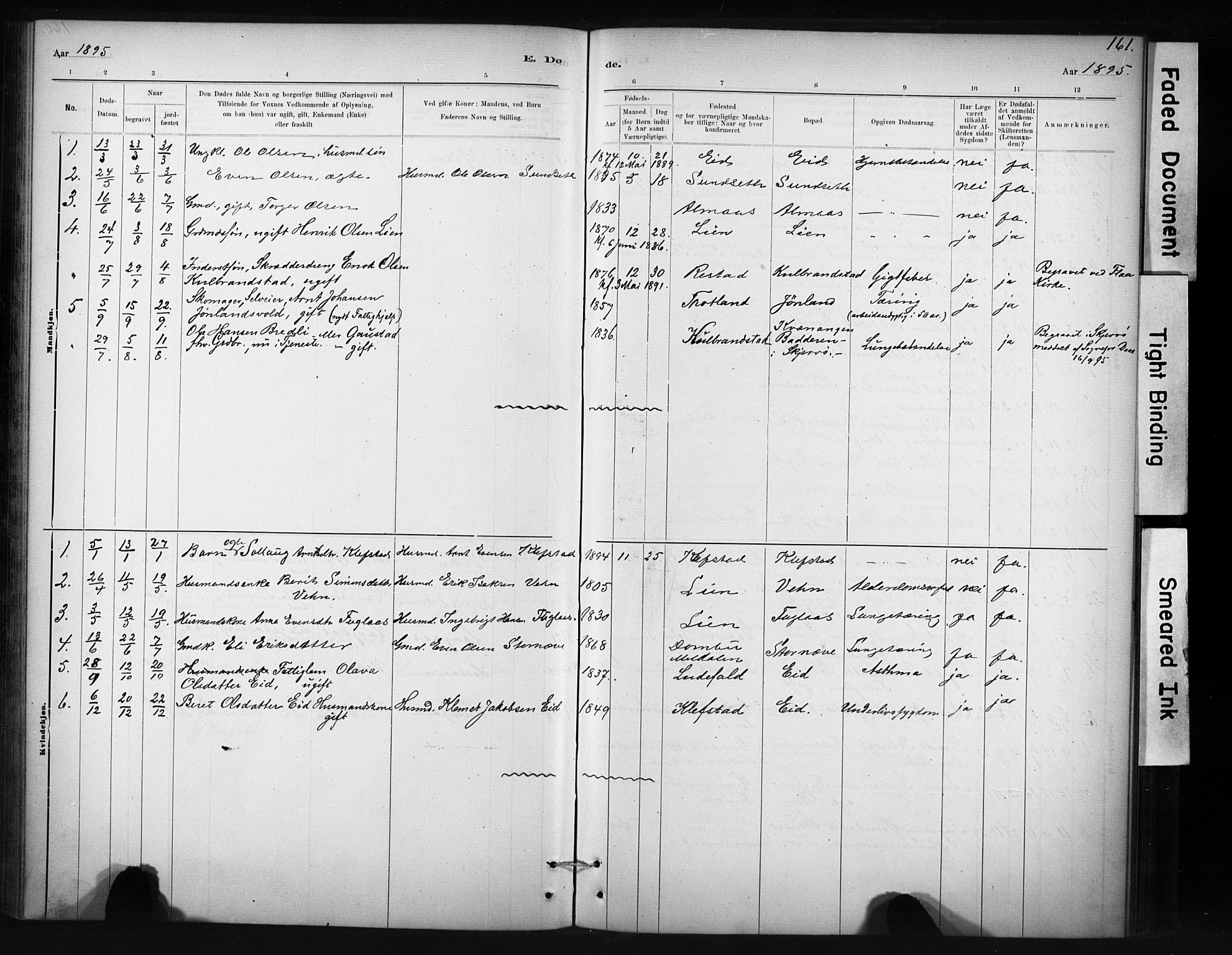 Ministerialprotokoller, klokkerbøker og fødselsregistre - Sør-Trøndelag, AV/SAT-A-1456/694/L1127: Parish register (official) no. 694A01, 1887-1905, p. 161