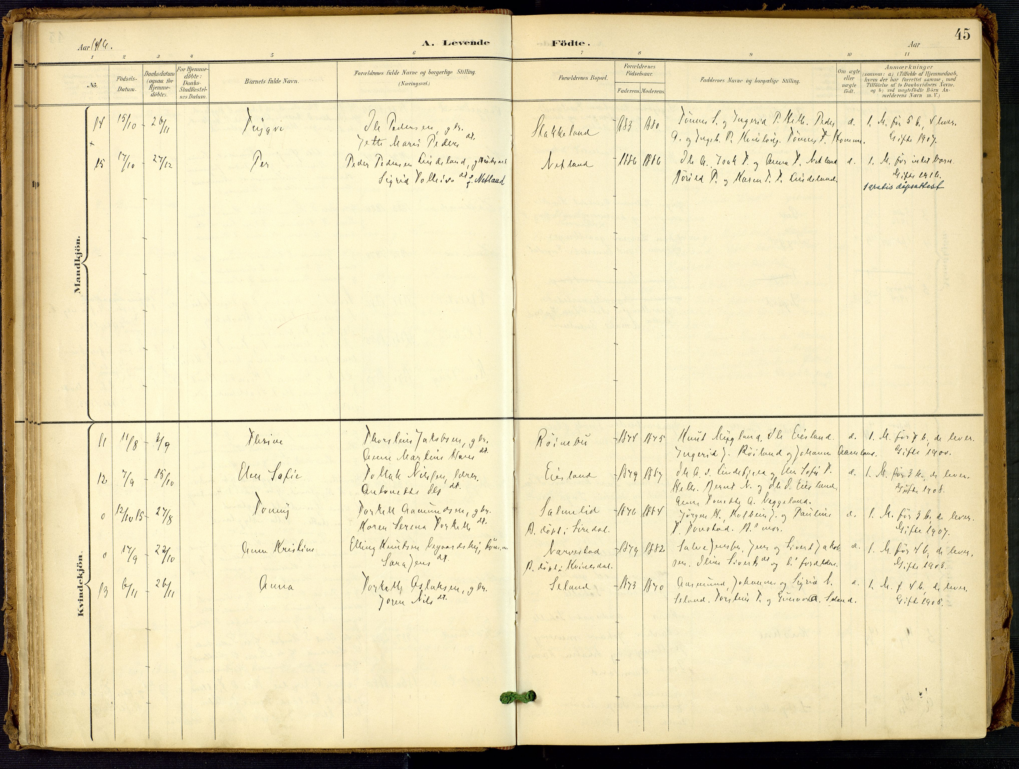 Fjotland sokneprestkontor, SAK/1111-0010/F/Fa/L0003: Parish register (official) no. A 3, 1899-1917, p. 45