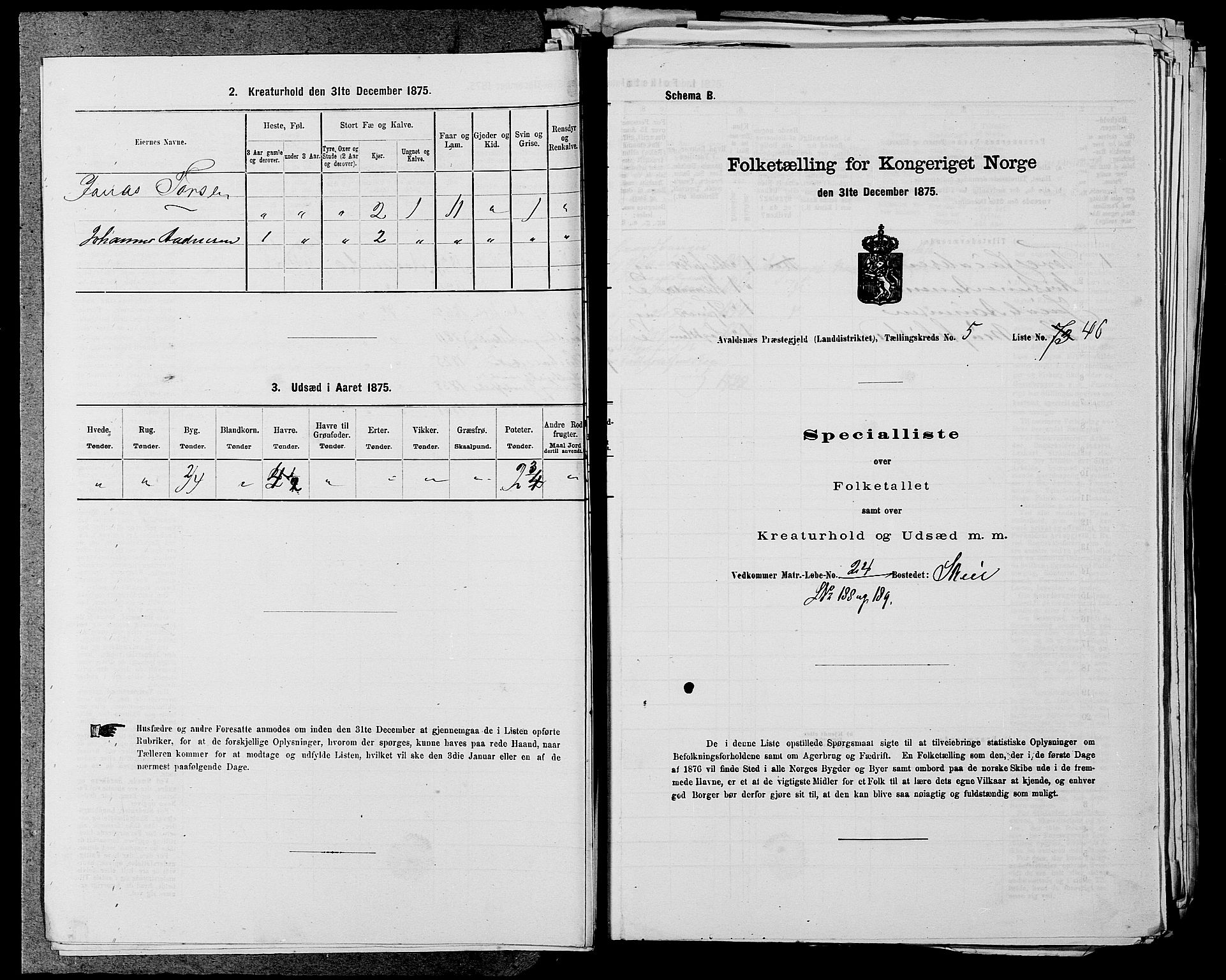 SAST, 1875 census for 1147L Avaldsnes/Avaldsnes og Kopervik, 1875, p. 760