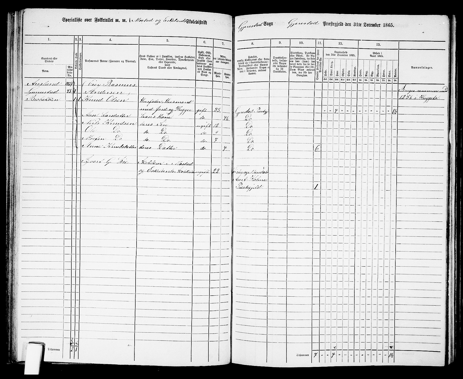 RA, 1865 census for Gjerstad, 1865, p. 76