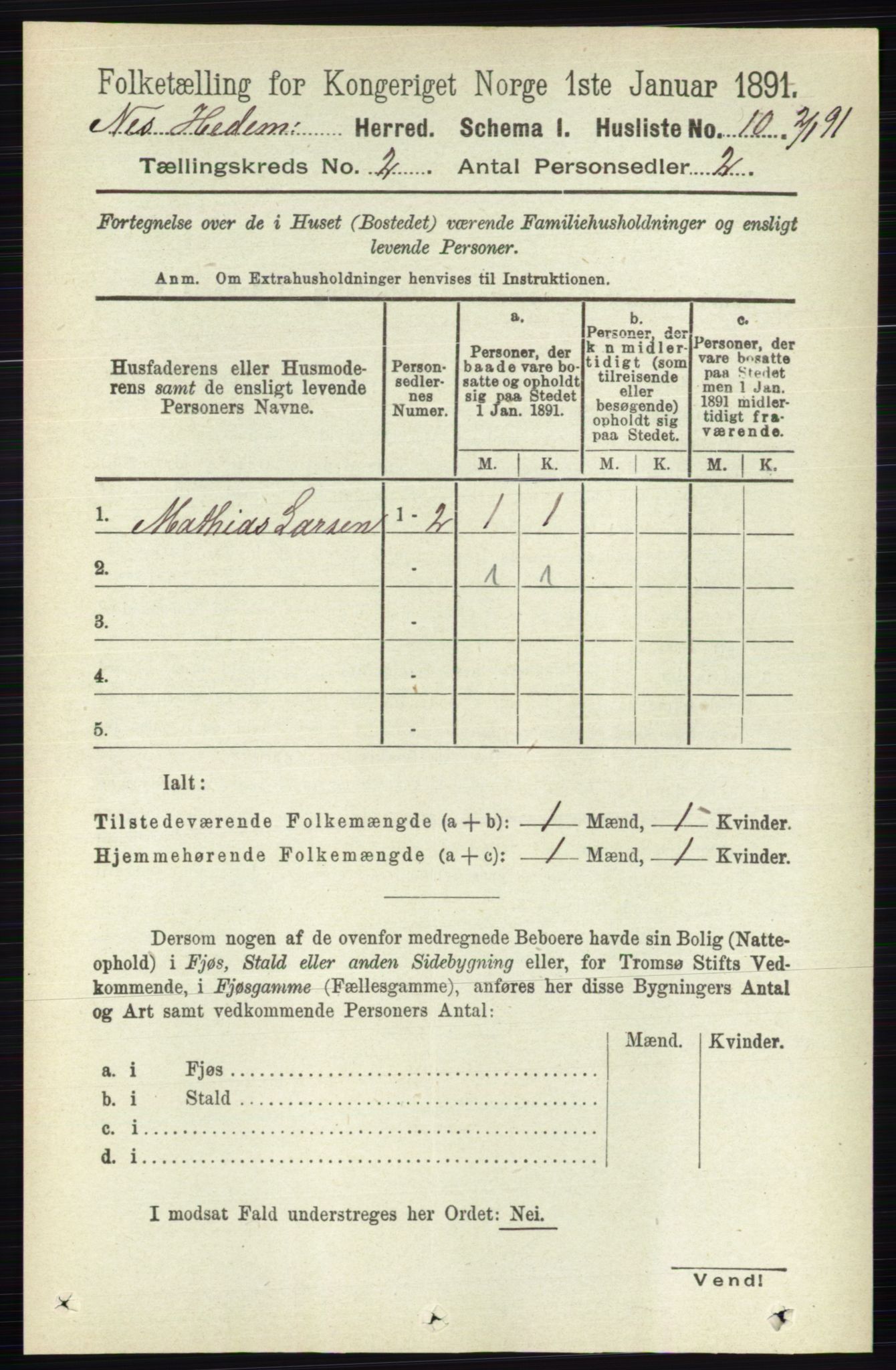 RA, 1891 census for 0411 Nes, 1891, p. 1013