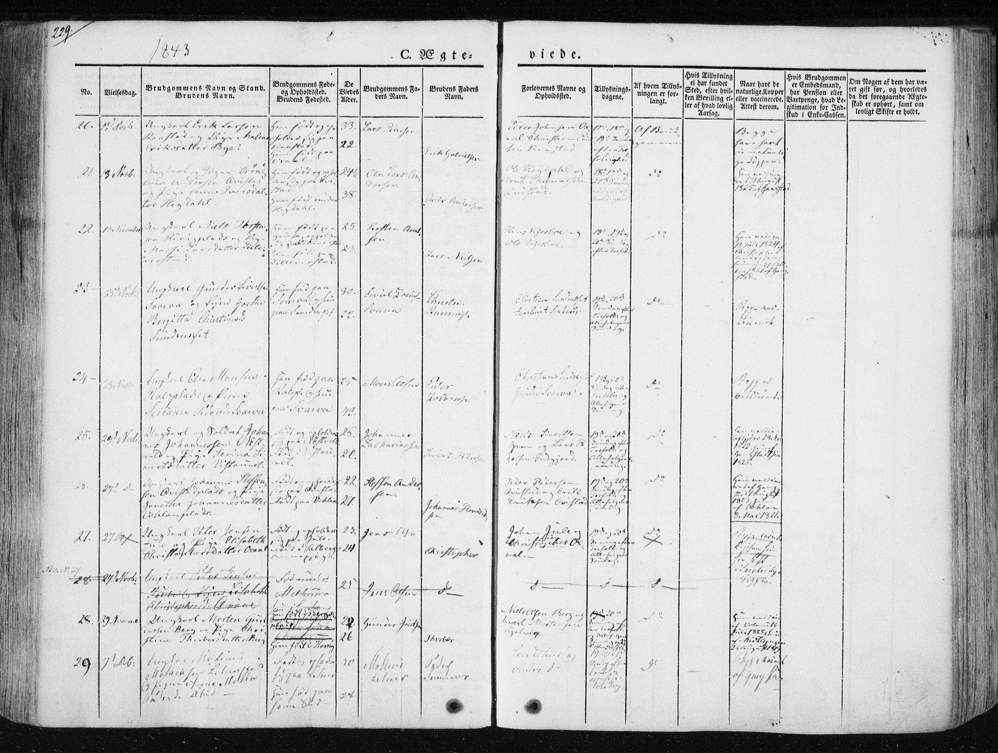 Ministerialprotokoller, klokkerbøker og fødselsregistre - Nord-Trøndelag, AV/SAT-A-1458/730/L0280: Parish register (official) no. 730A07 /1, 1840-1854, p. 229