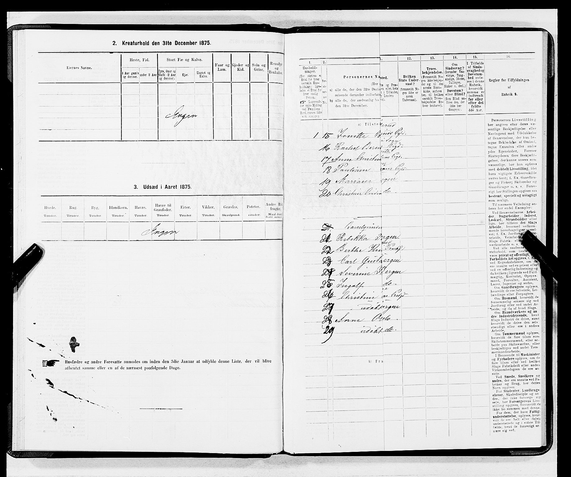 SAB, 1875 census for 1301 Bergen, 1875, p. 3796