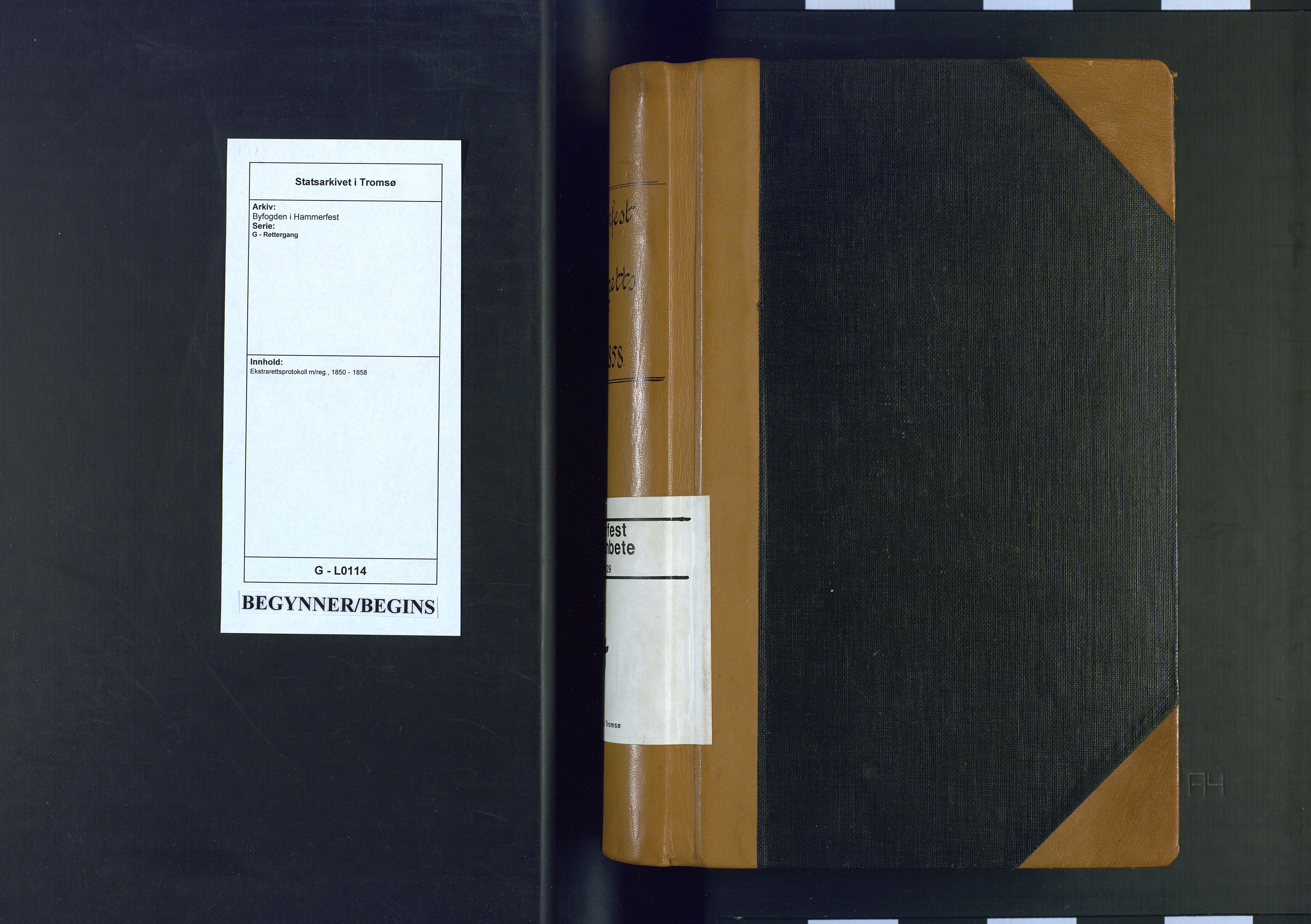 Byfogden i Hammerfest, AV/SATØ-S-0064/G/L0114: Ekstrarettsprotokoll m/reg., 1850-1858