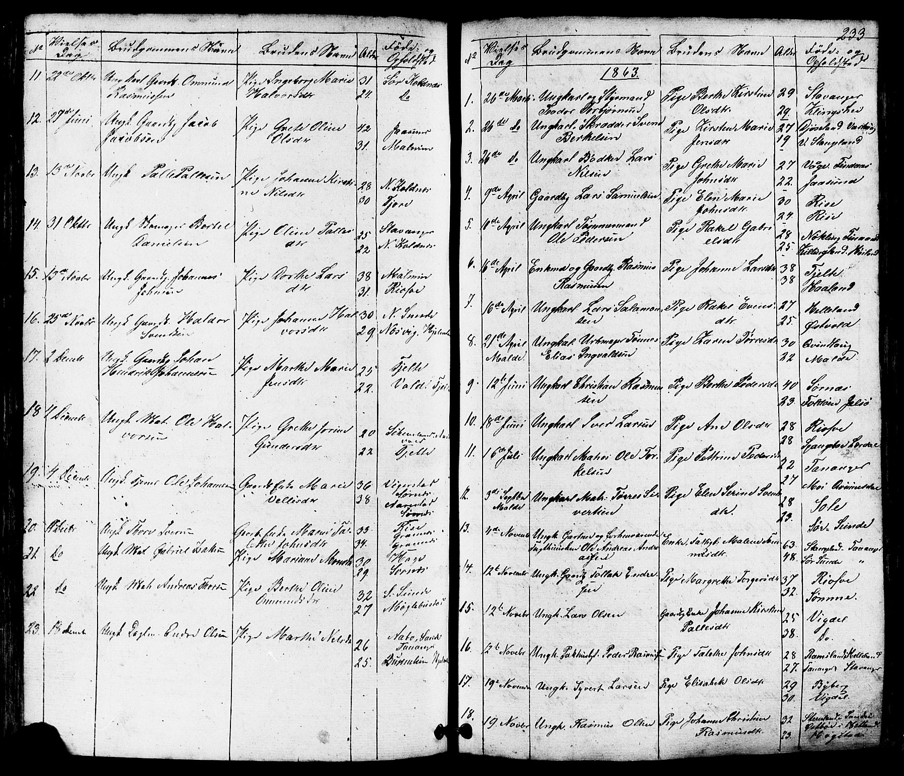 Håland sokneprestkontor, SAST/A-101802/001/30BB/L0002: Parish register (copy) no. B 2, 1845-1872, p. 233