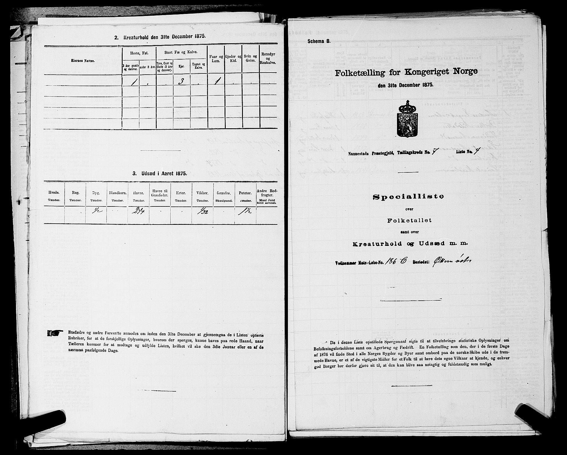 RA, 1875 census for 0238P Nannestad, 1875, p. 1007