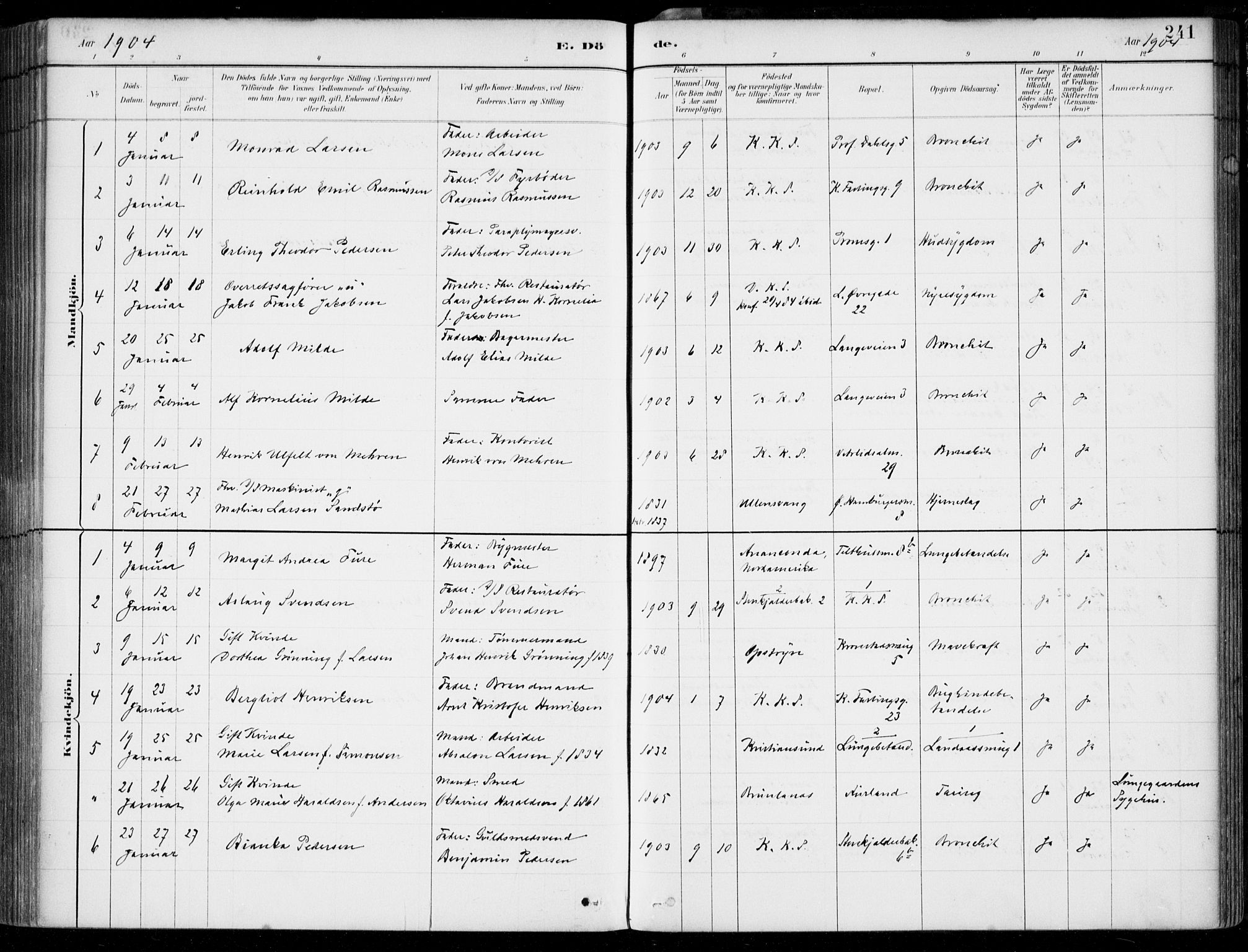 Korskirken sokneprestembete, SAB/A-76101/H/Hab: Parish register (copy) no. E 4, 1884-1910, p. 241