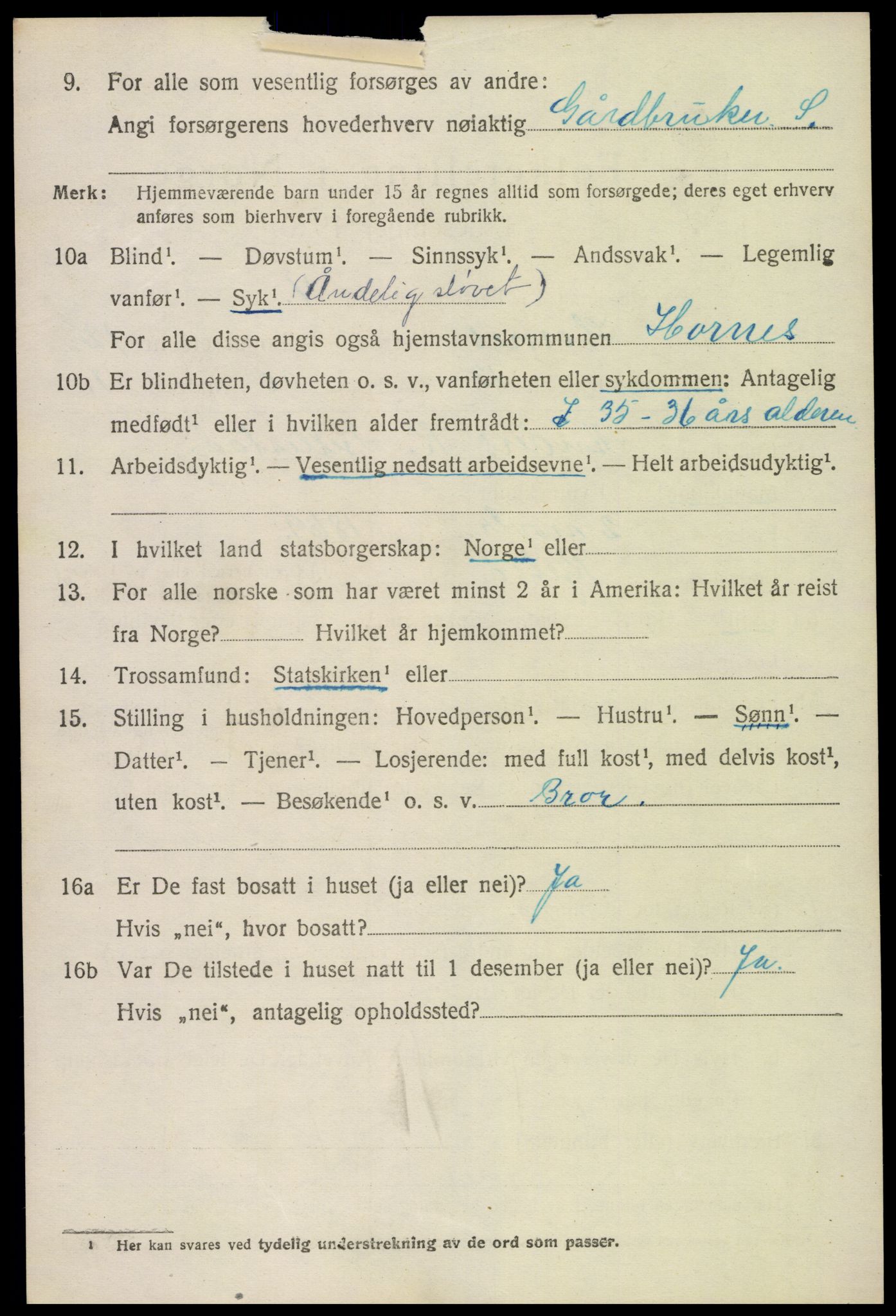 SAK, 1920 census for Hornnes, 1920, p. 3022