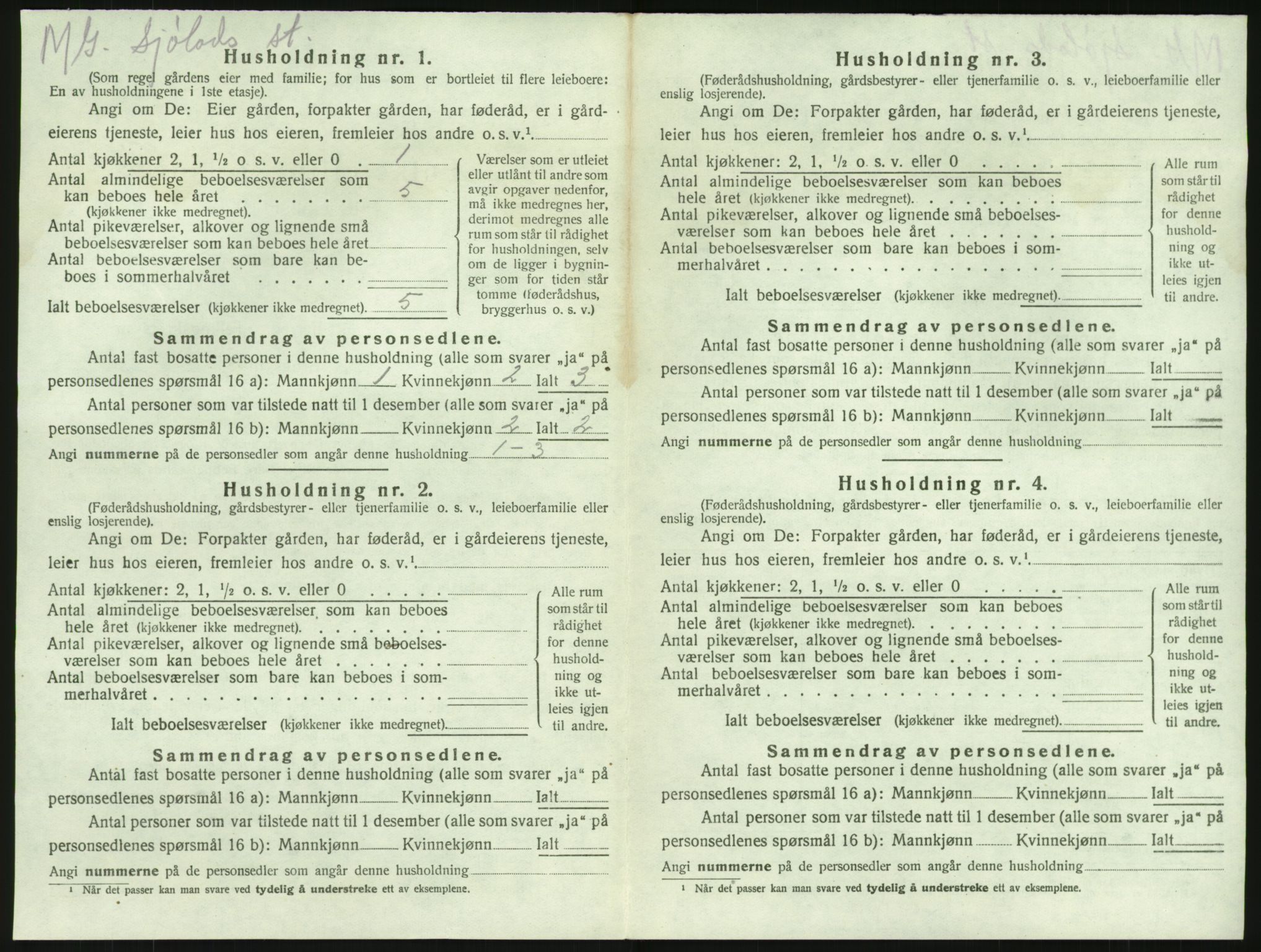 SAKO, 1920 census for Brunlanes, 1920, p. 1500
