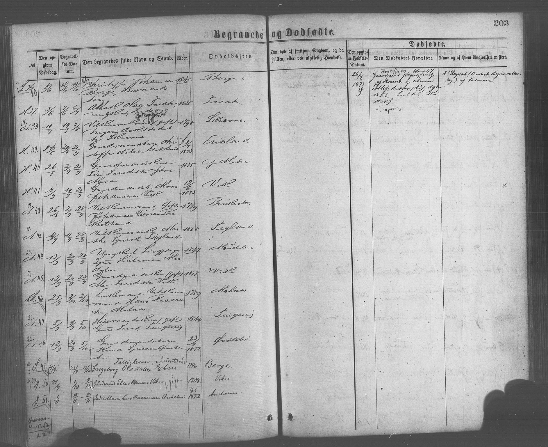 Skånevik sokneprestembete, AV/SAB-A-77801/H/Haa: Parish register (official) no. A 6, 1869-1878, p. 203