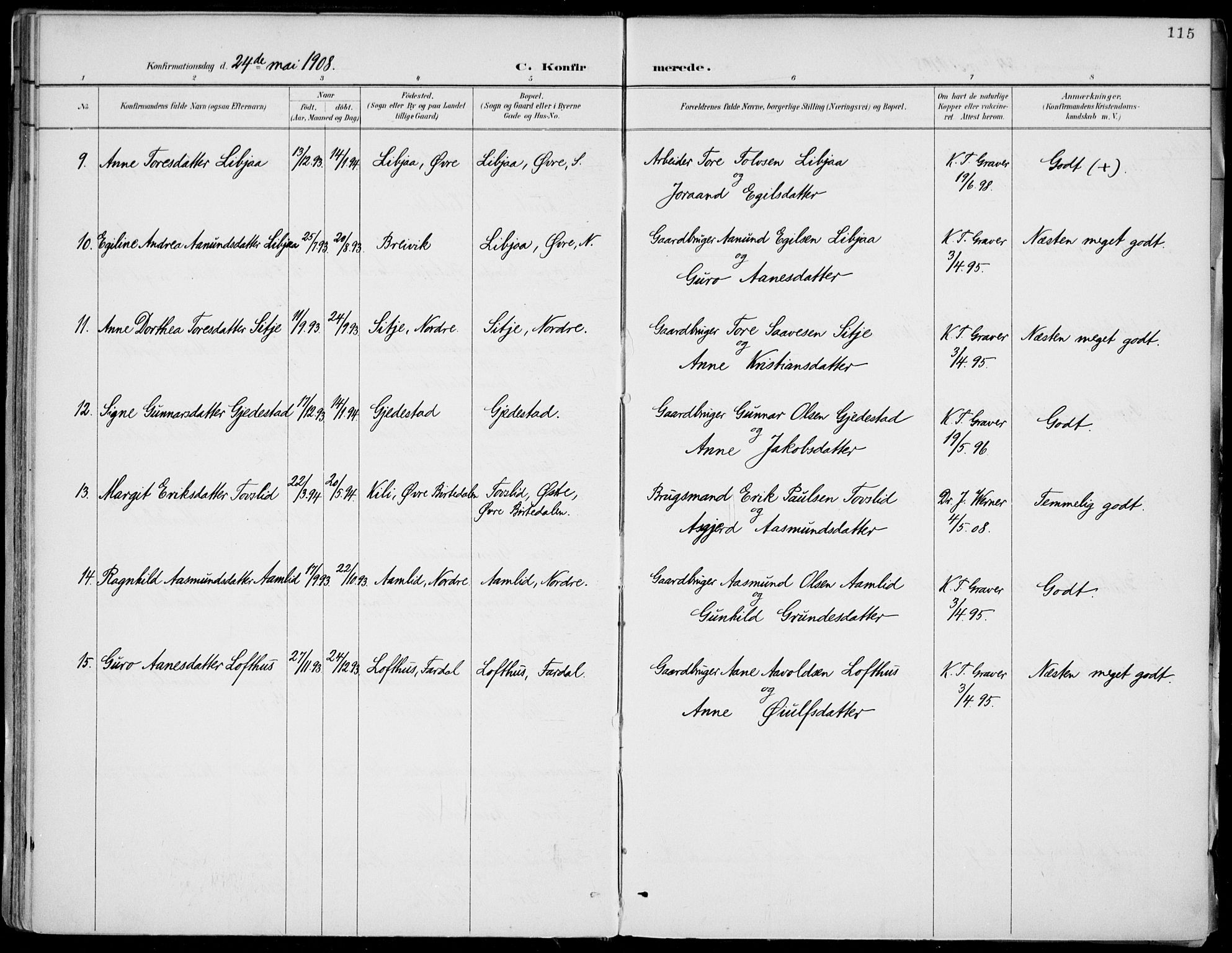 Fyresdal kirkebøker, SAKO/A-263/F/Fa/L0007: Parish register (official) no. I 7, 1887-1914, p. 115