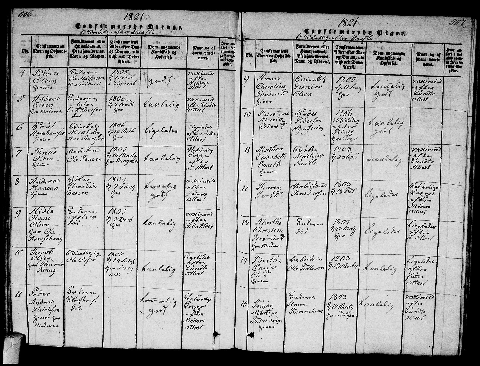 Strømsø kirkebøker, AV/SAKO-A-246/G/Ga/L0001: Parish register (copy) no. 1, 1815-1829, p. 506-507