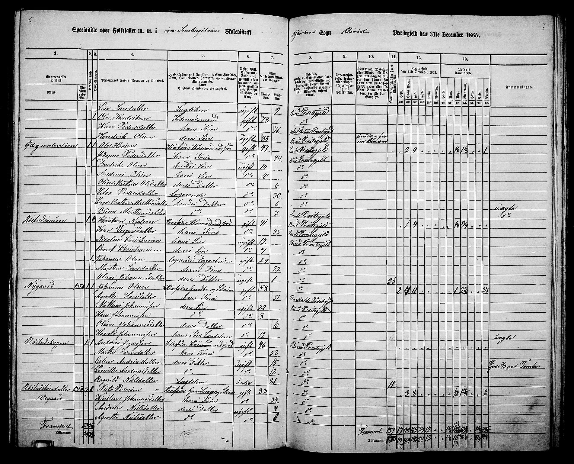 RA, 1865 census for Biri, 1865, p. 134
