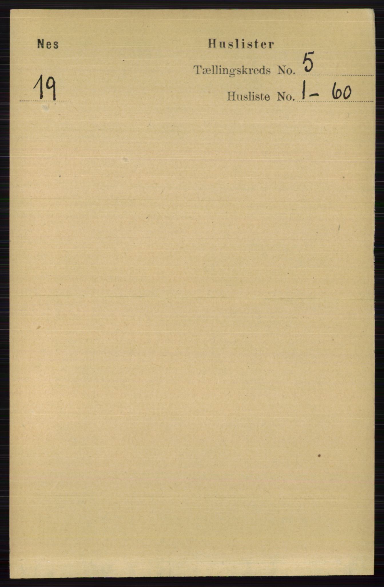 RA, 1891 census for 0616 Nes, 1891, p. 2573
