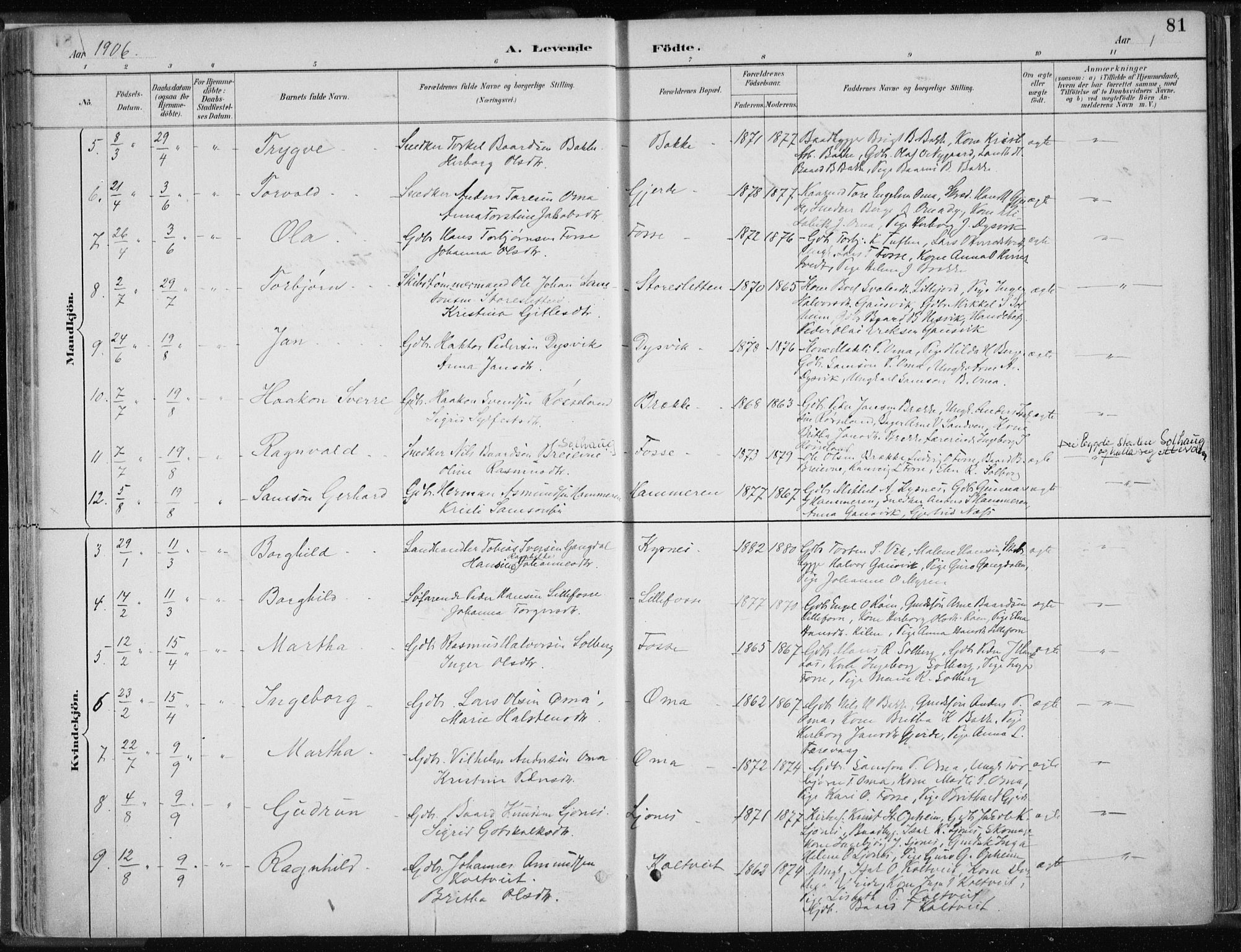 Strandebarm sokneprestembete, AV/SAB-A-78401/H/Haa: Parish register (official) no. B  1, 1886-1908, p. 81