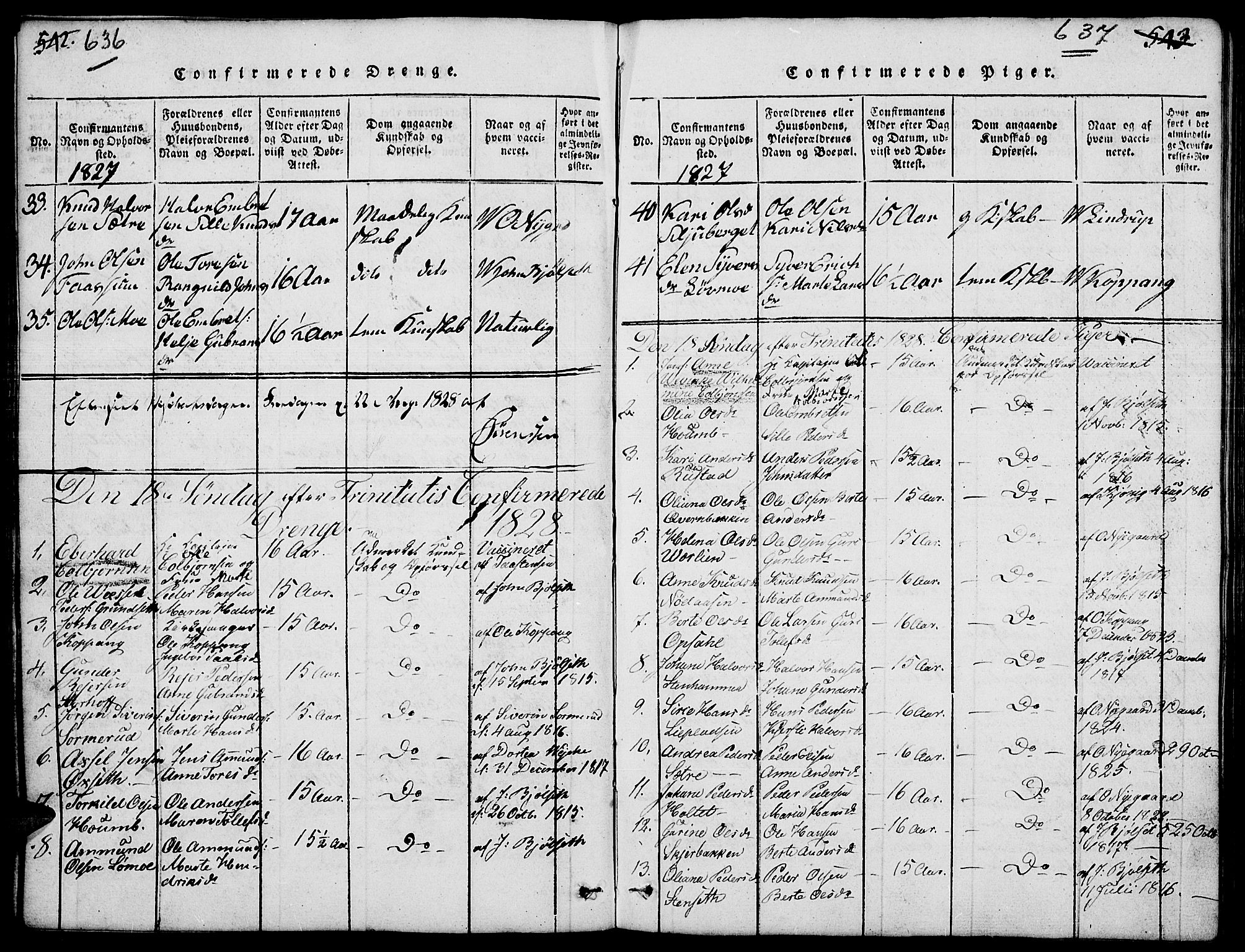 Elverum prestekontor, SAH/PREST-044/H/Ha/Hab/L0001: Parish register (copy) no. 1, 1815-1829, p. 636-637