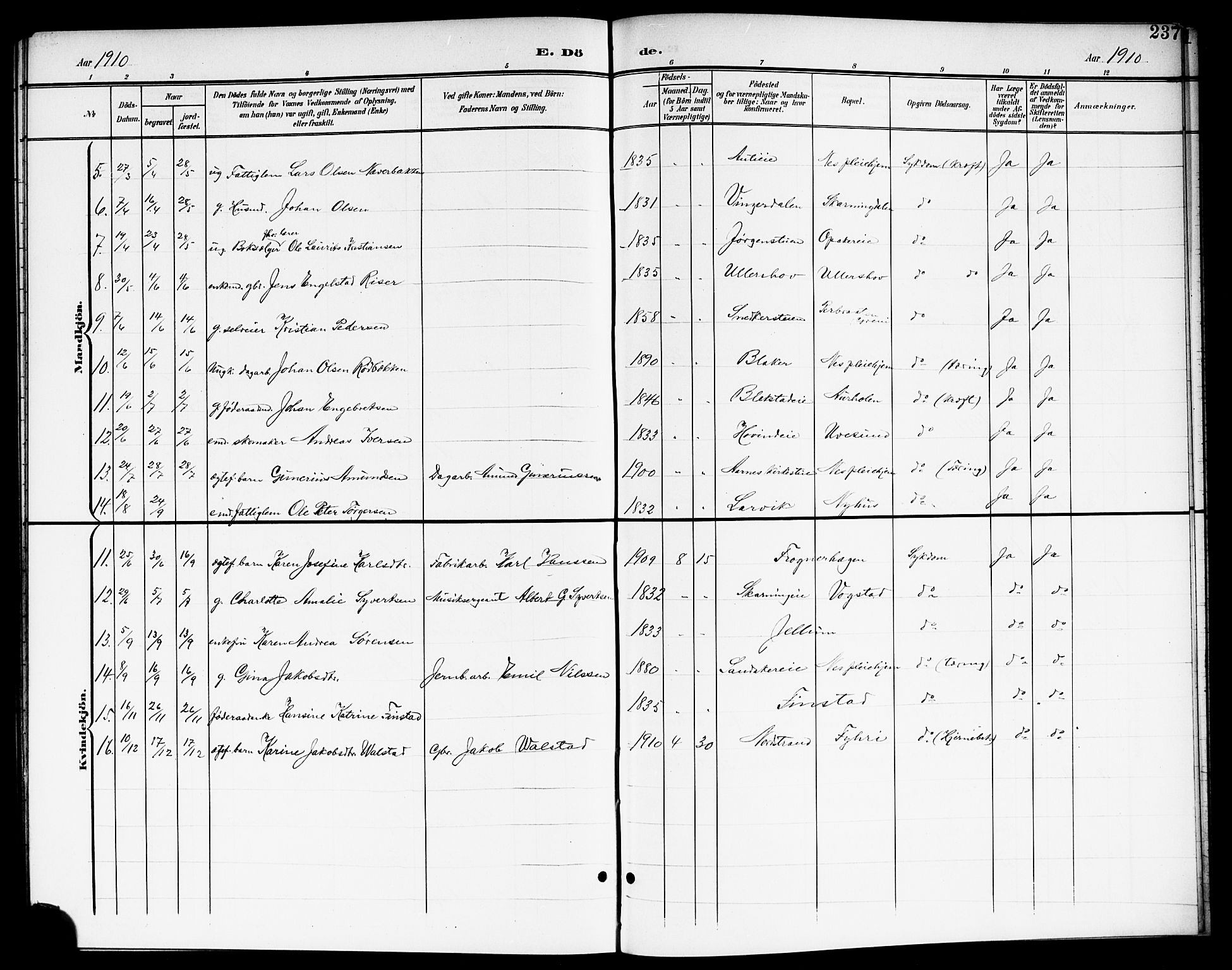 Nes prestekontor Kirkebøker, AV/SAO-A-10410/G/Ga/L0002: Parish register (copy) no. I 2, 1901-1912, p. 237