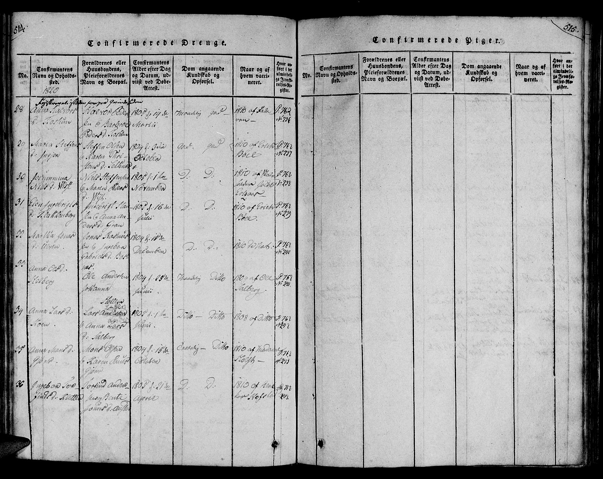 Ministerialprotokoller, klokkerbøker og fødselsregistre - Nord-Trøndelag, AV/SAT-A-1458/730/L0275: Parish register (official) no. 730A04, 1816-1822, p. 514-515