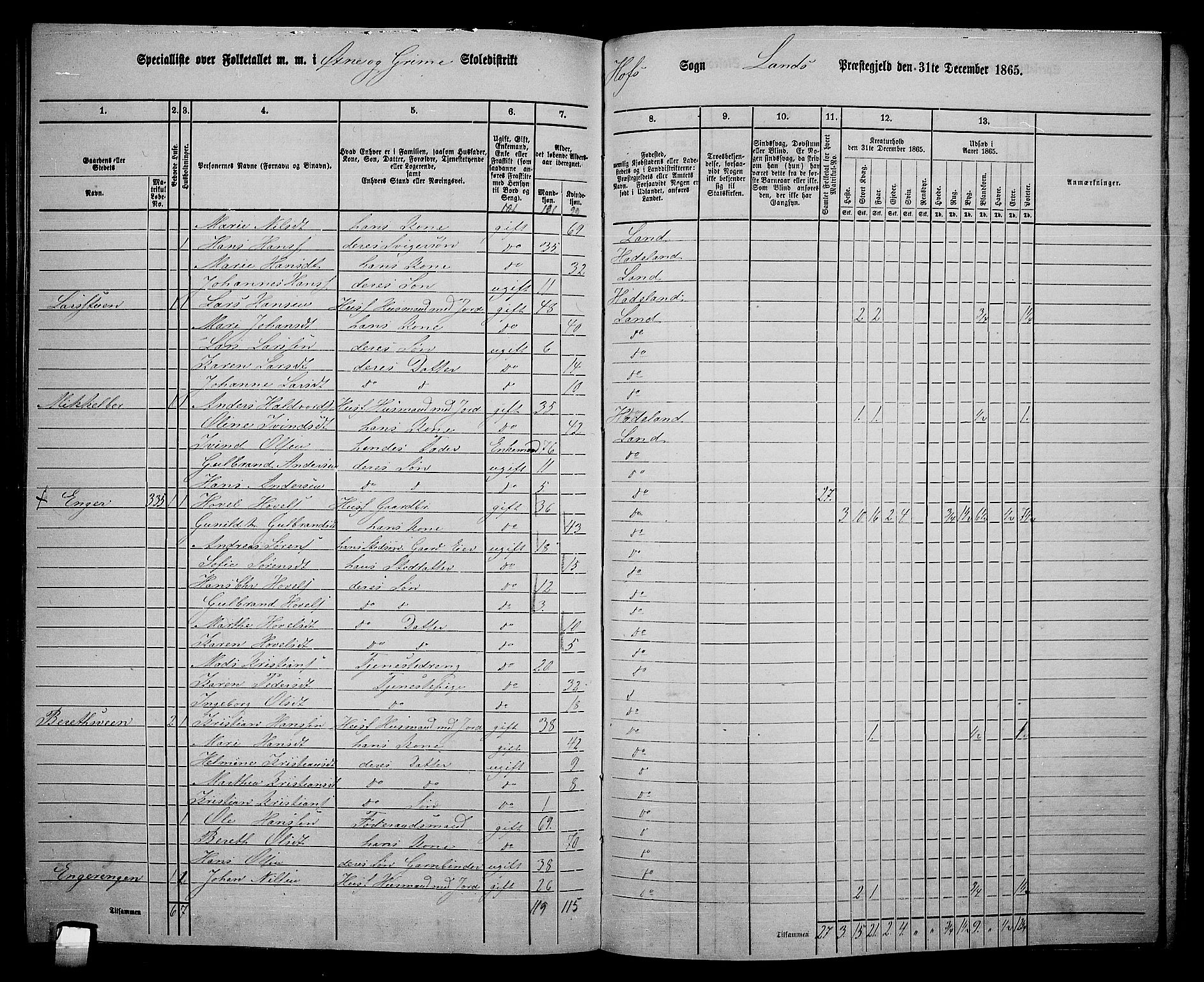 RA, 1865 census for Land, 1865, p. 381