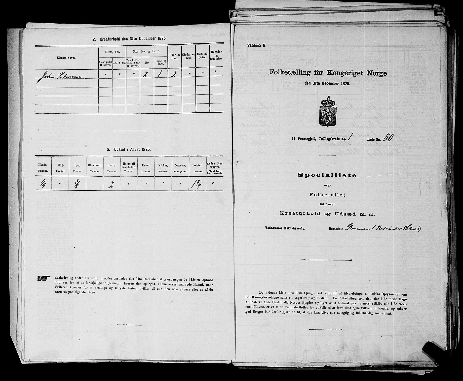 RA, 1875 census for 0117P Idd, 1875, p. 42