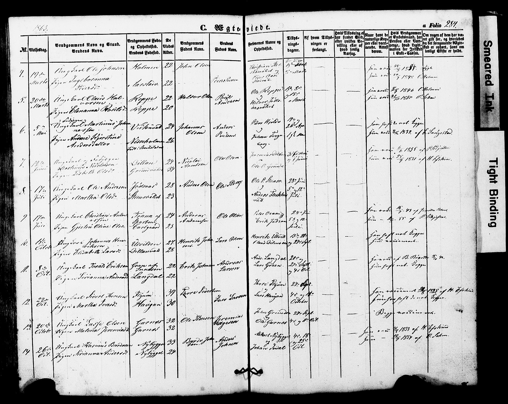 Ministerialprotokoller, klokkerbøker og fødselsregistre - Nord-Trøndelag, SAT/A-1458/724/L0268: Parish register (copy) no. 724C04, 1846-1878, p. 284