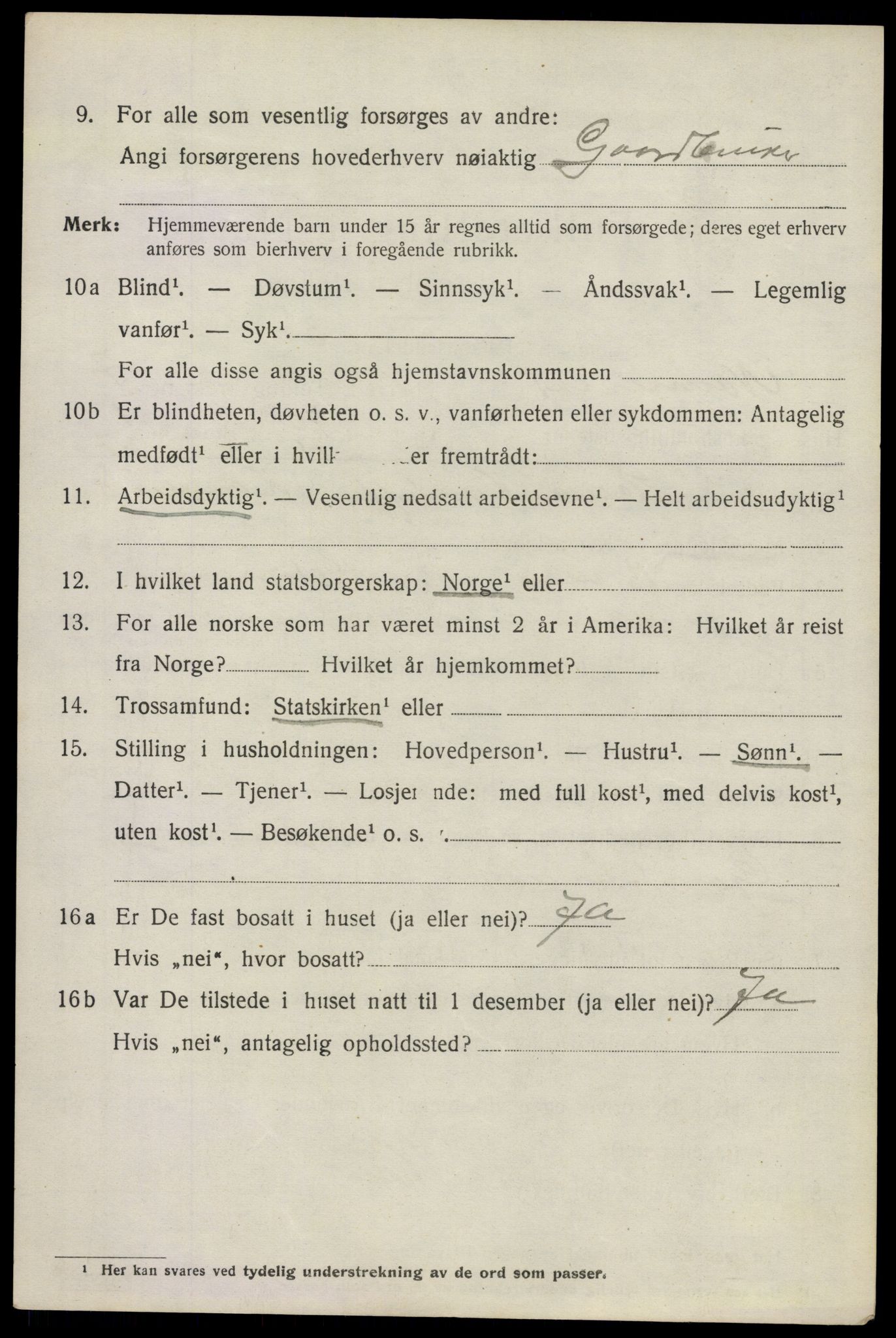 SAO, 1920 census for Nannestad, 1920, p. 8589