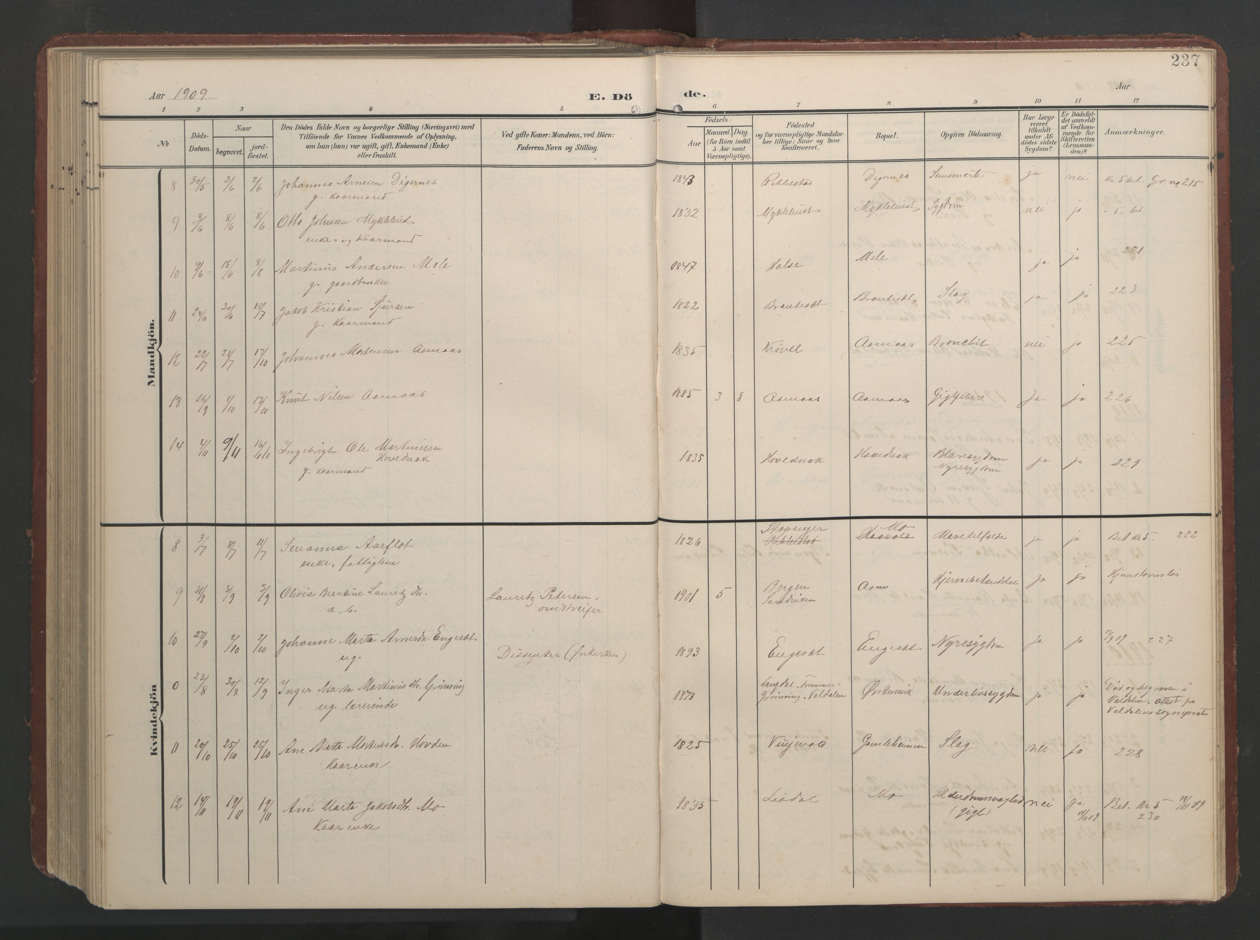 Ministerialprotokoller, klokkerbøker og fødselsregistre - Møre og Romsdal, AV/SAT-A-1454/513/L0190: Parish register (copy) no. 513C04, 1904-1926, p. 237