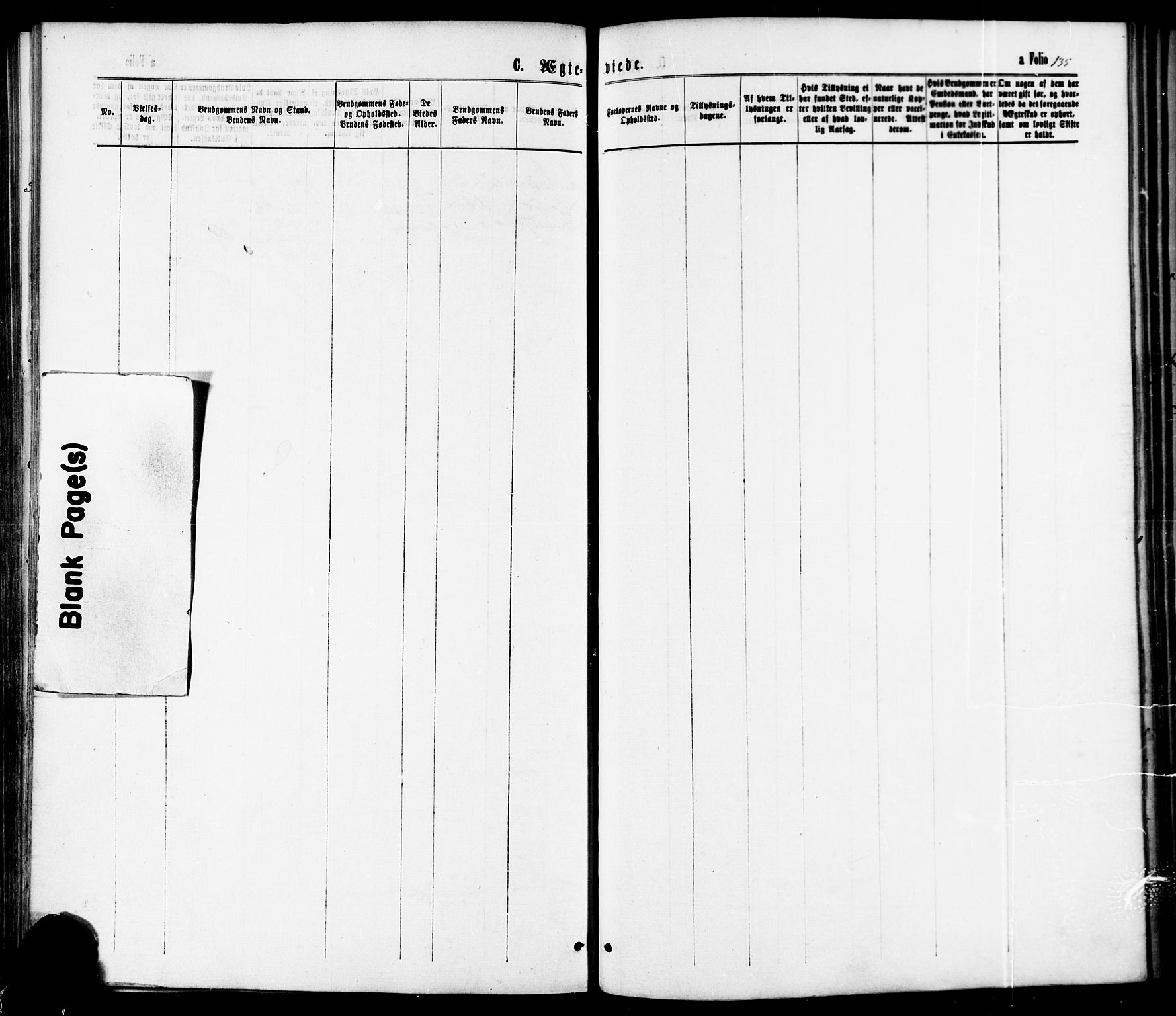 Ministerialprotokoller, klokkerbøker og fødselsregistre - Nord-Trøndelag, SAT/A-1458/739/L0370: Parish register (official) no. 739A02, 1868-1881, p. 135