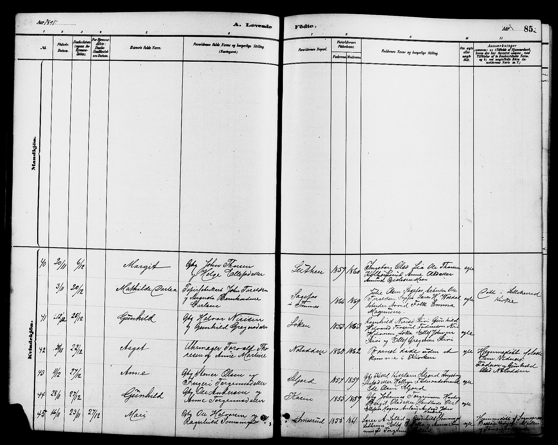 Heddal kirkebøker, SAKO/A-268/G/Ga/L0002: Parish register (copy) no. I 2, 1879-1908, p. 85