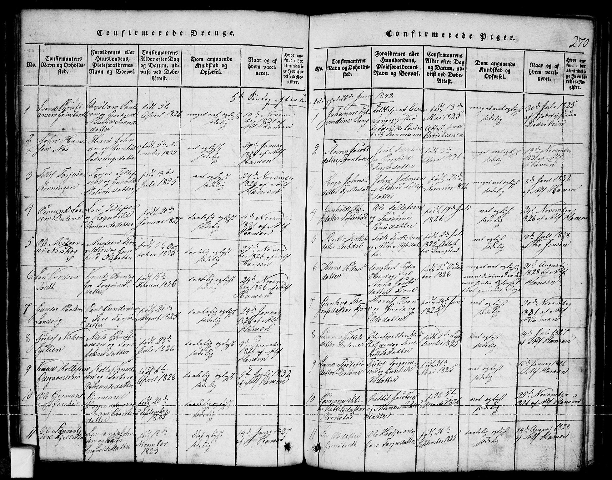 Nissedal kirkebøker, SAKO/A-288/G/Ga/L0001: Parish register (copy) no. I 1, 1814-1860, p. 270