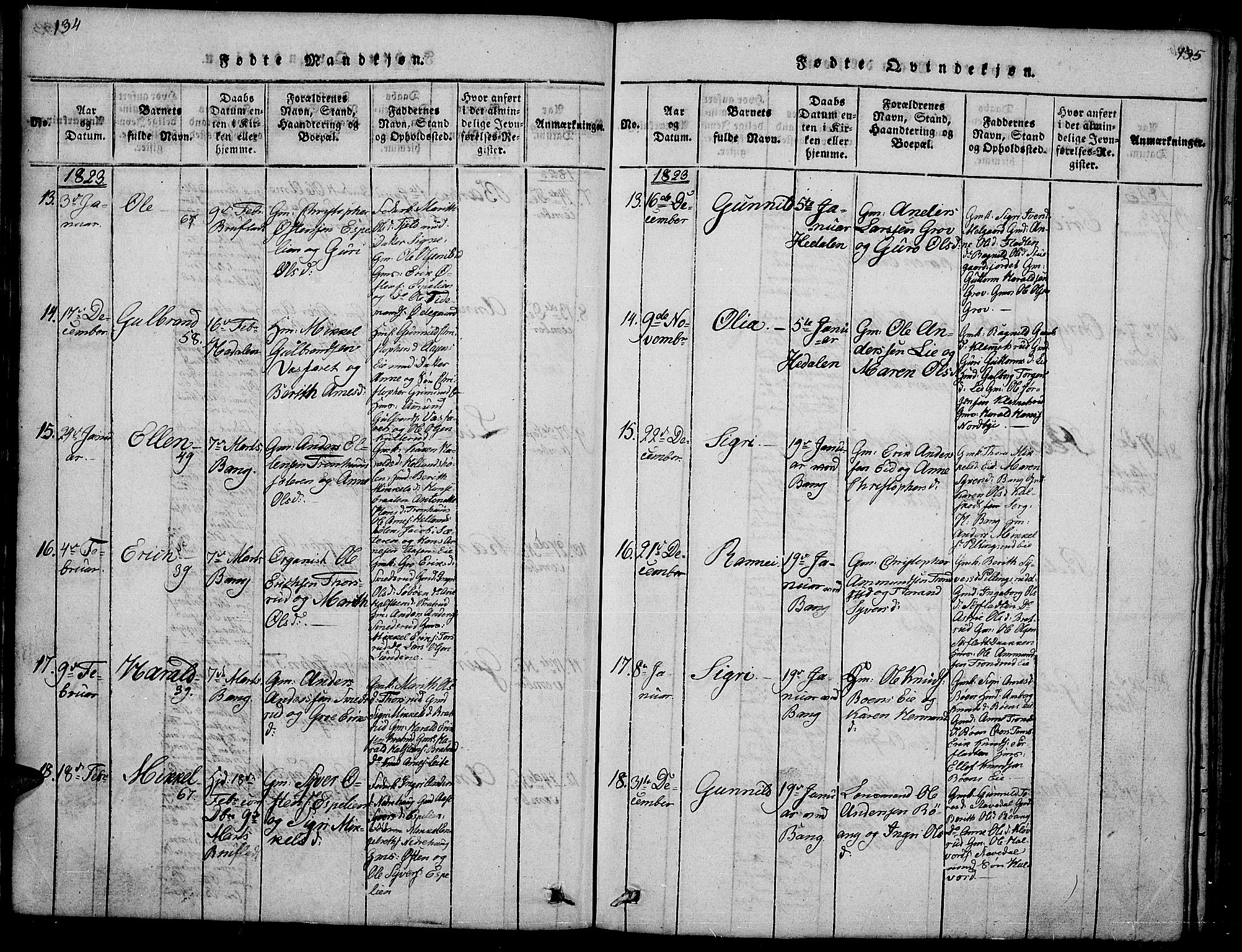 Sør-Aurdal prestekontor, SAH/PREST-128/H/Ha/Hab/L0001: Parish register (copy) no. 1, 1815-1826, p. 134-135