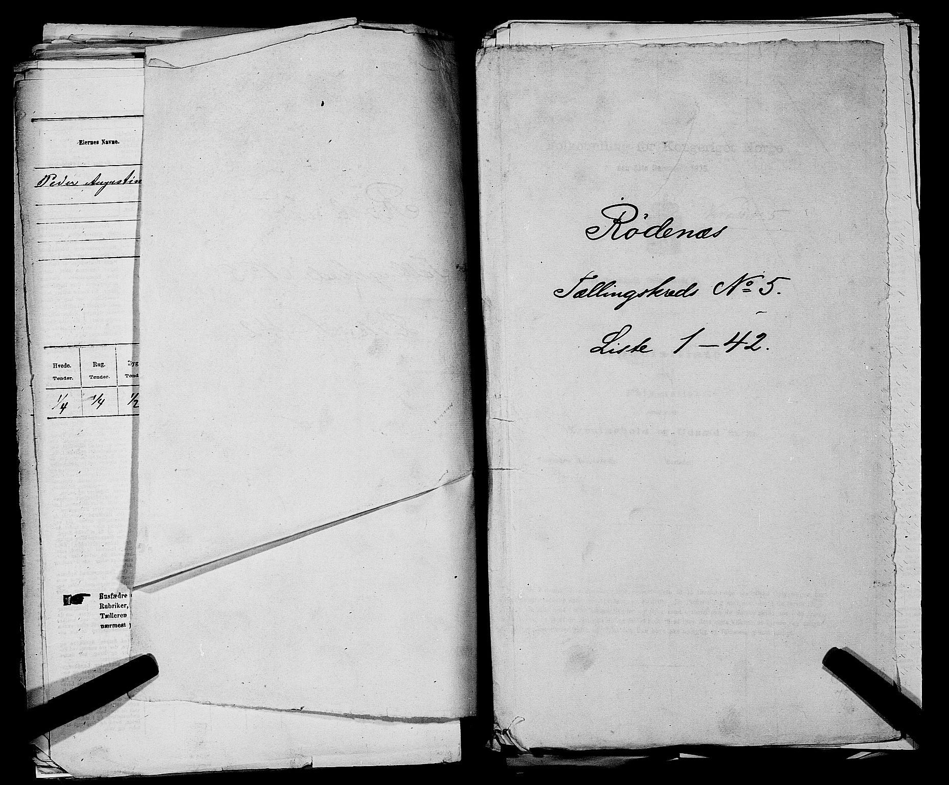 RA, 1875 census for 0120P Rødenes, 1875, p. 704