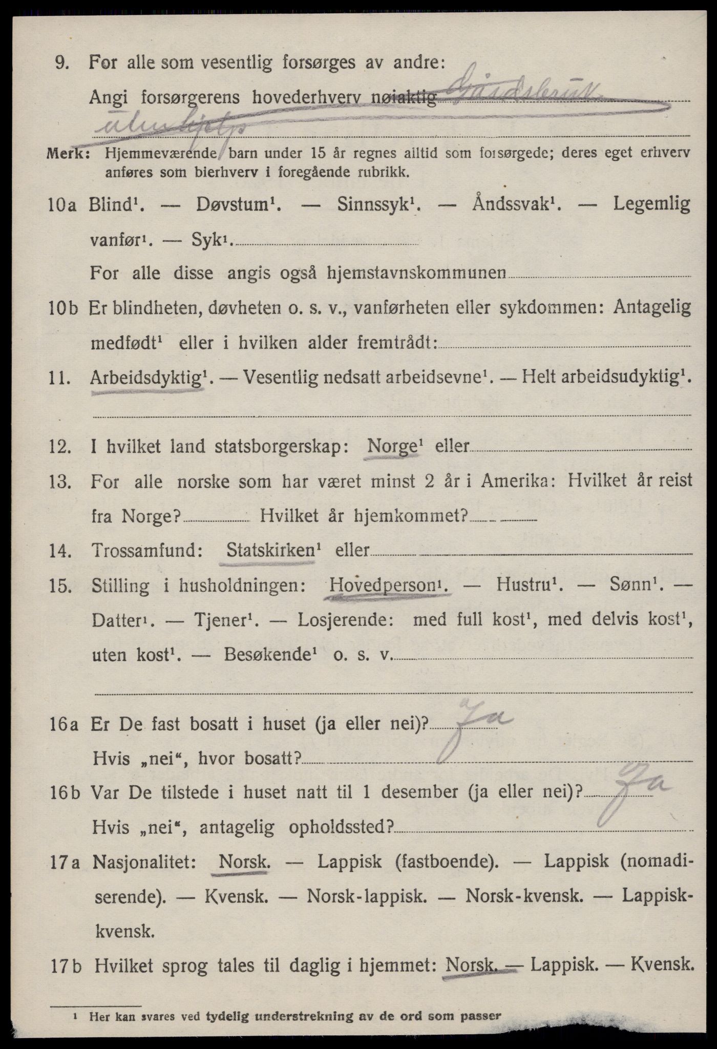 SAT, 1920 census for Selbu, 1920, p. 7447