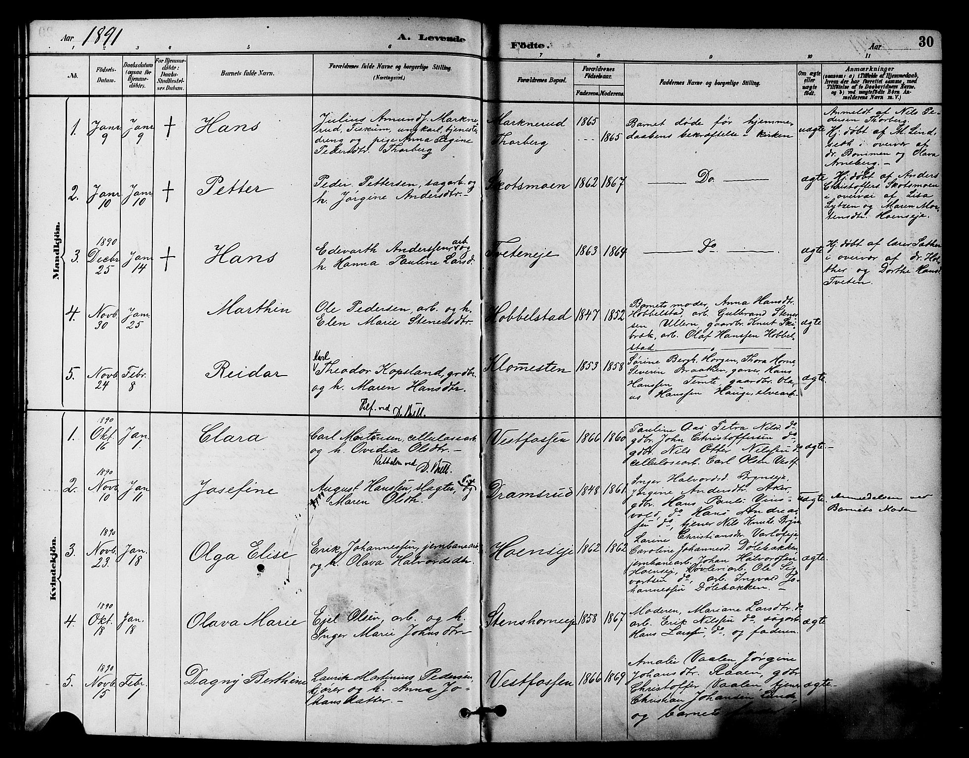Eiker kirkebøker, SAKO/A-4/F/Fb/L0002: Parish register (official) no. II 2, 1889-1896, p. 30
