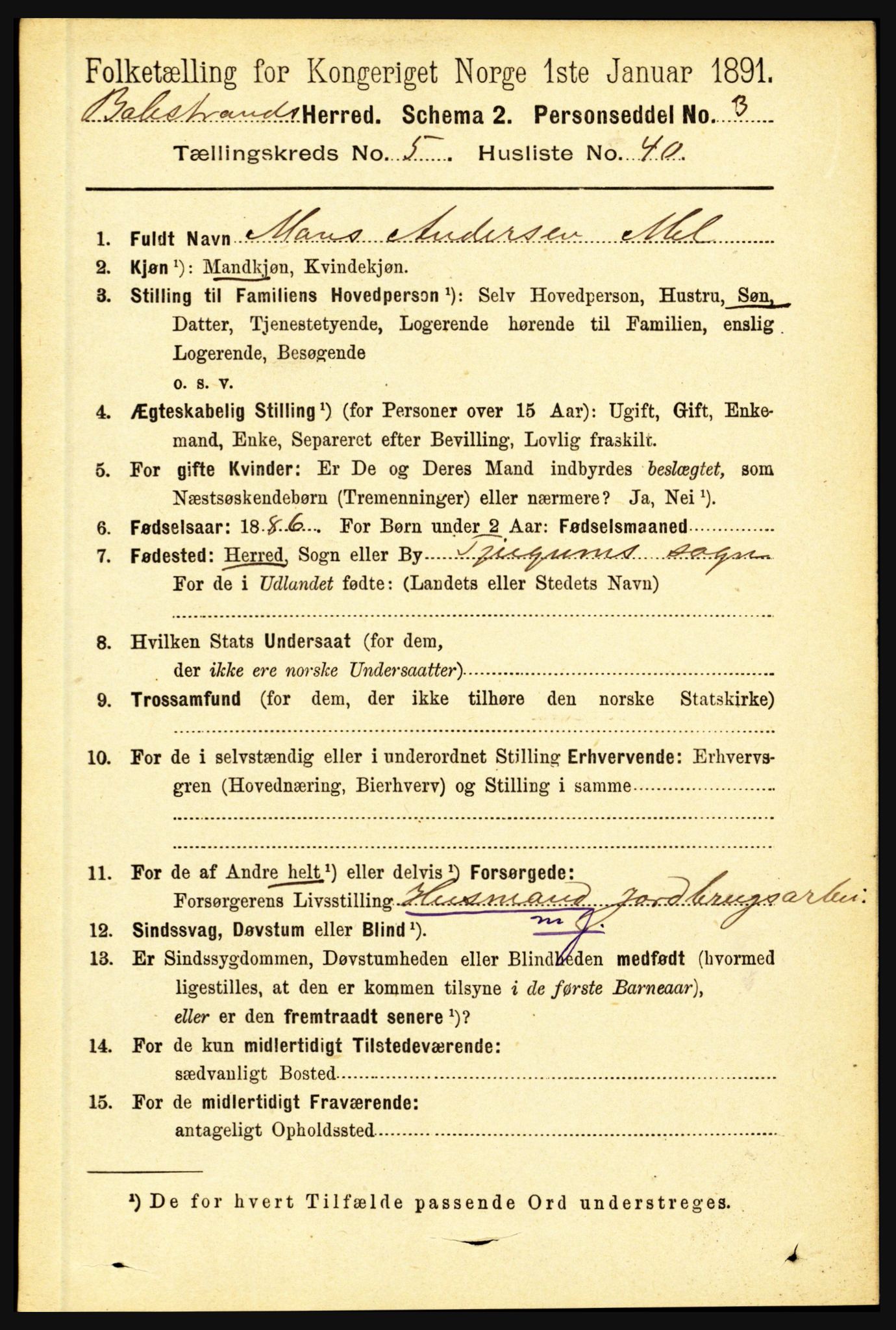 RA, 1891 census for 1418 Balestrand, 1891, p. 1328