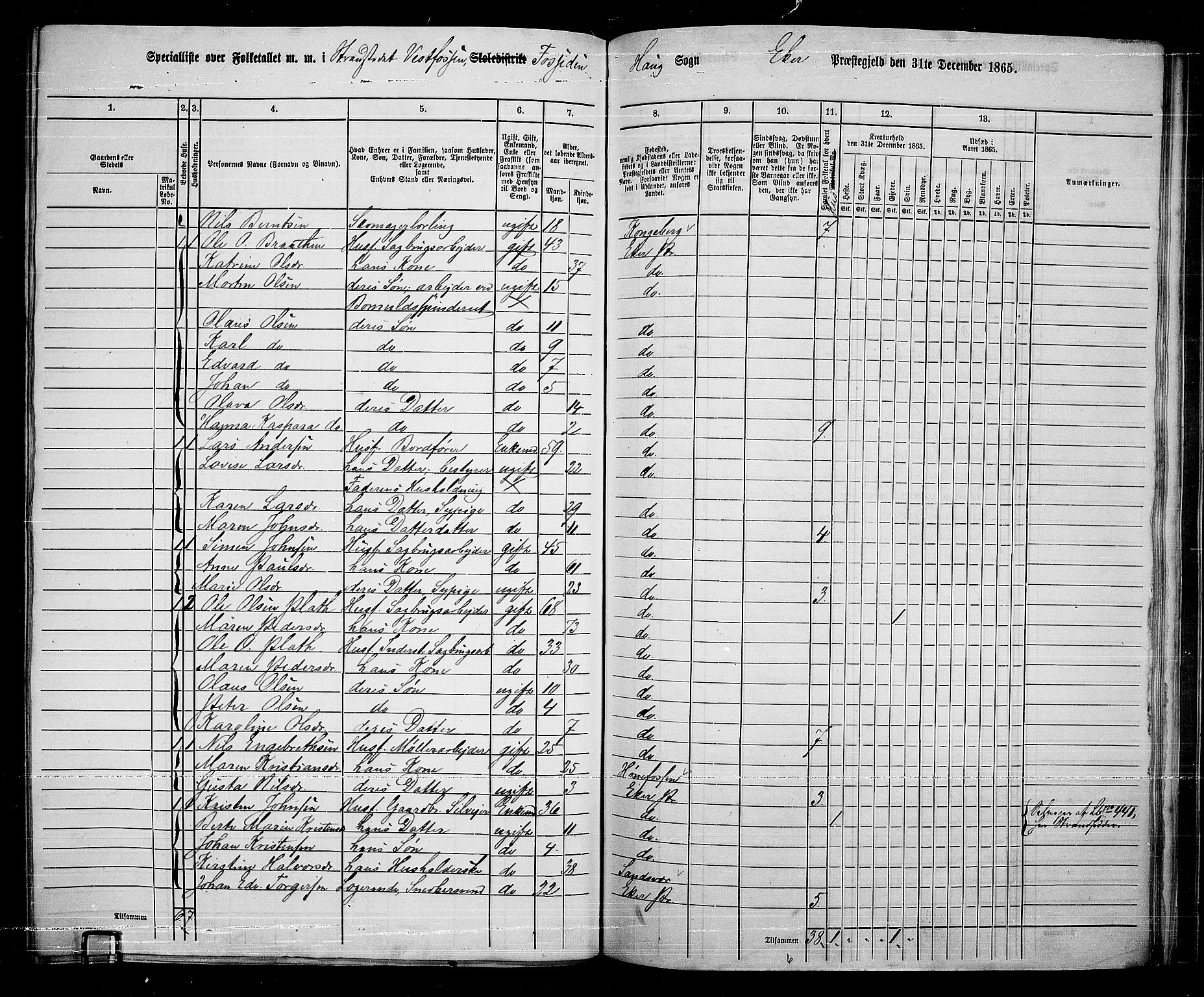 RA, 1865 census for Eiker, 1865, p. 228