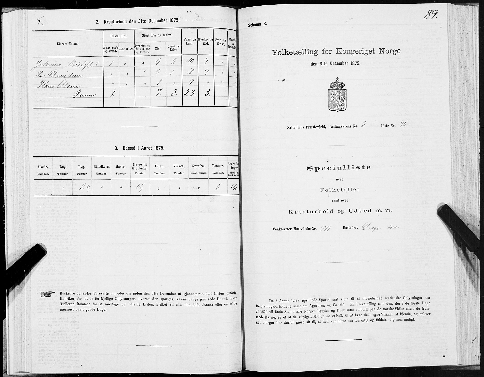 SAT, 1875 census for 1840P Saltdal, 1875, p. 2089